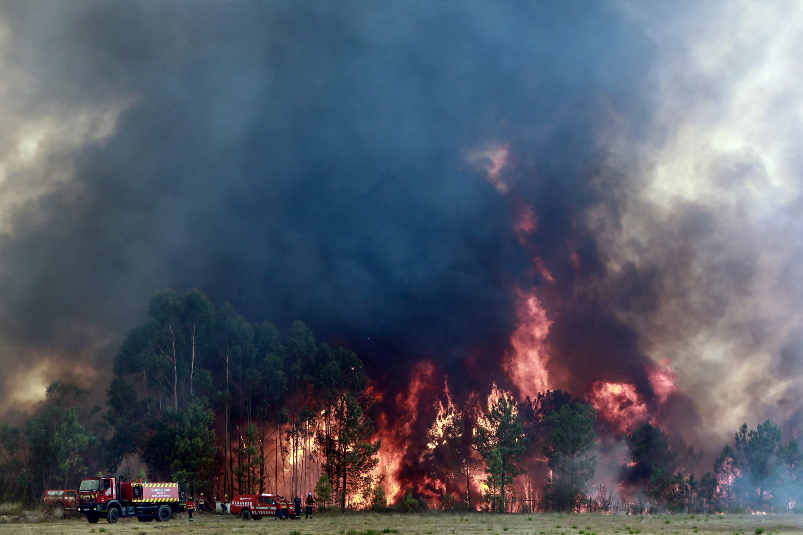 Incêndios: Castelo Branco com prejuízos de 394 mil euros sem contabilizar área ardida