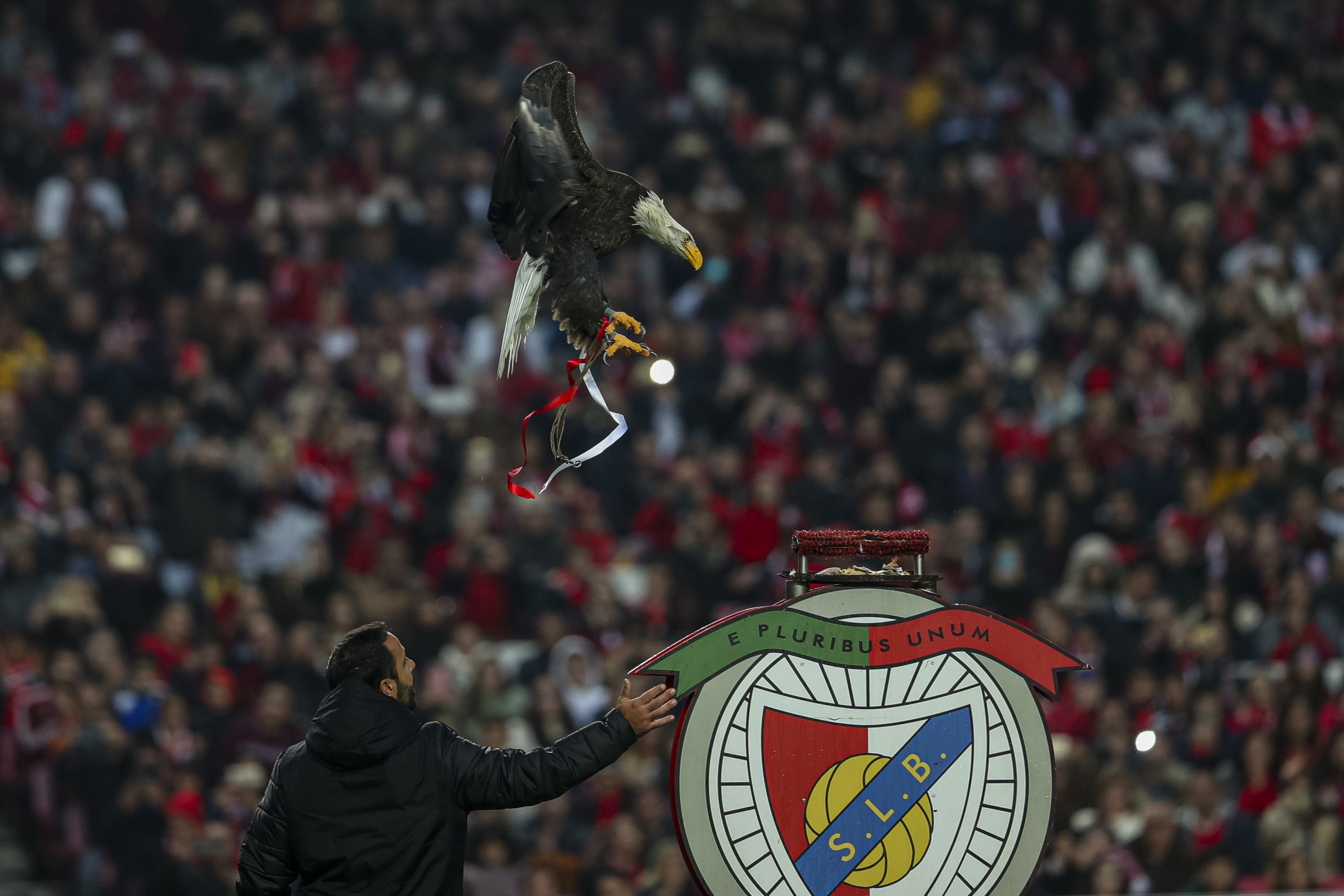 Limite de mandatos e remunerações à direção marcam ‘novos’ estatutos do Benfica