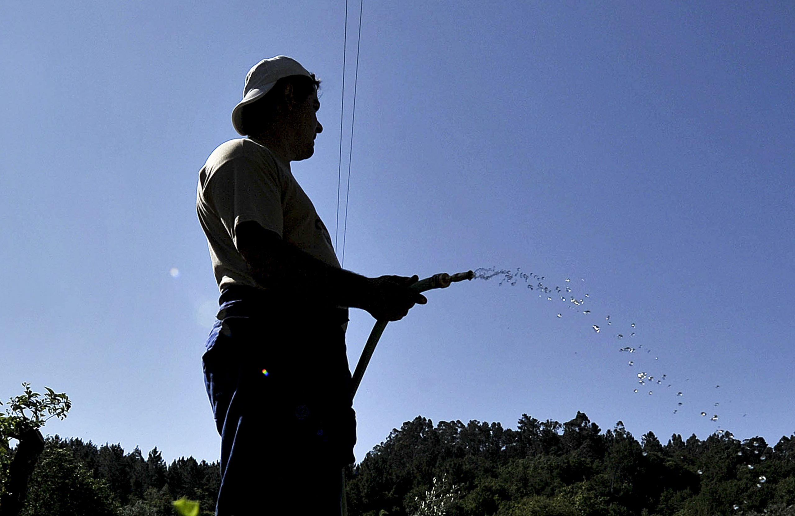 Seca: Autarca de Almodôvar admite cortes de água no inverno se não chover