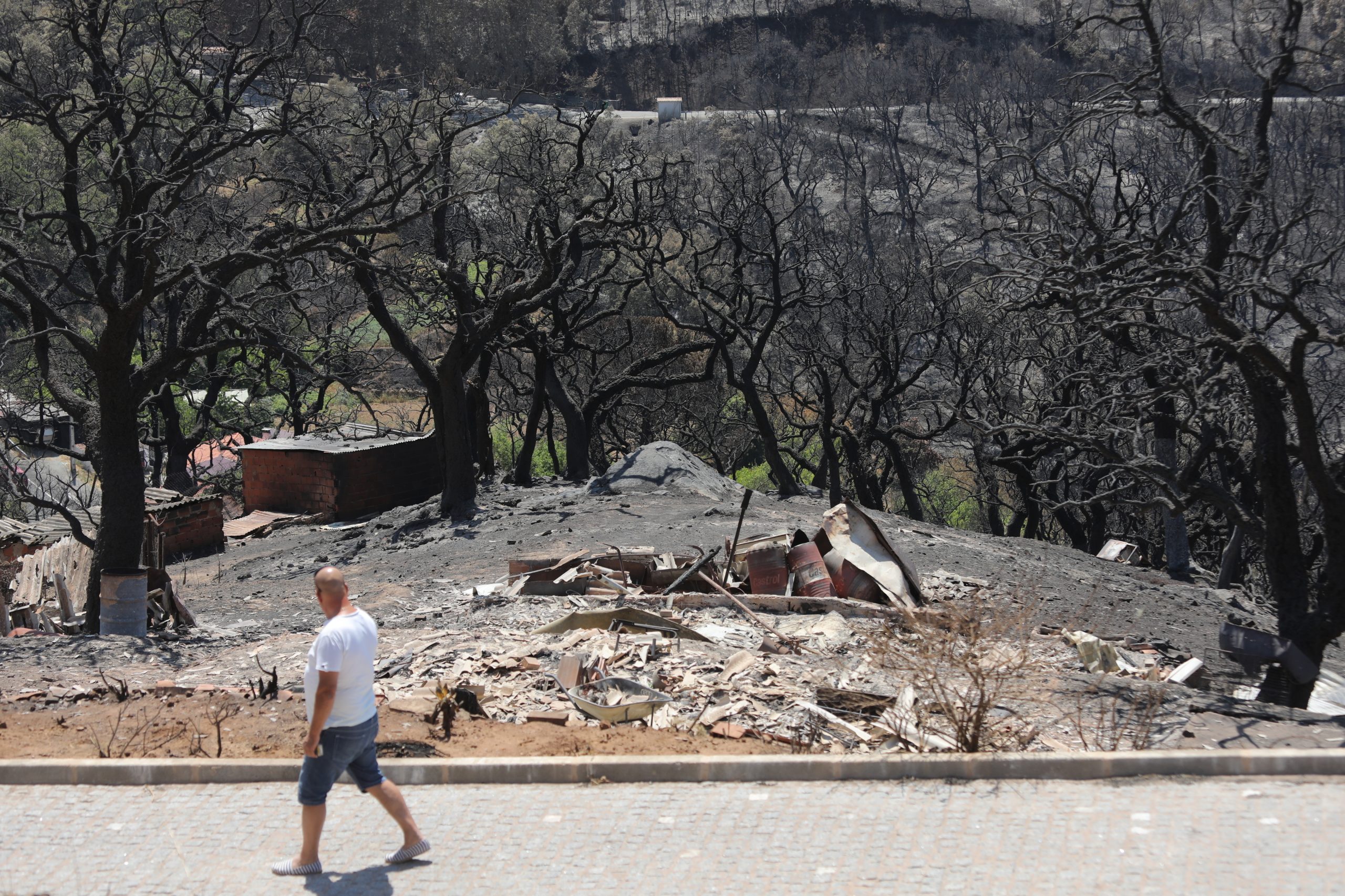 Cientista alerta para perigo de combustível acumulado em zona ardida