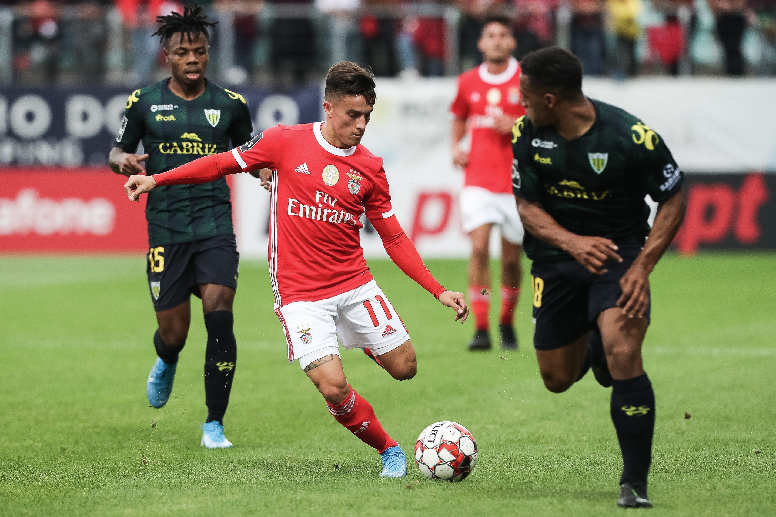 Benfica vence em Tondela e isola-se provisoriamente na liderança da I Liga