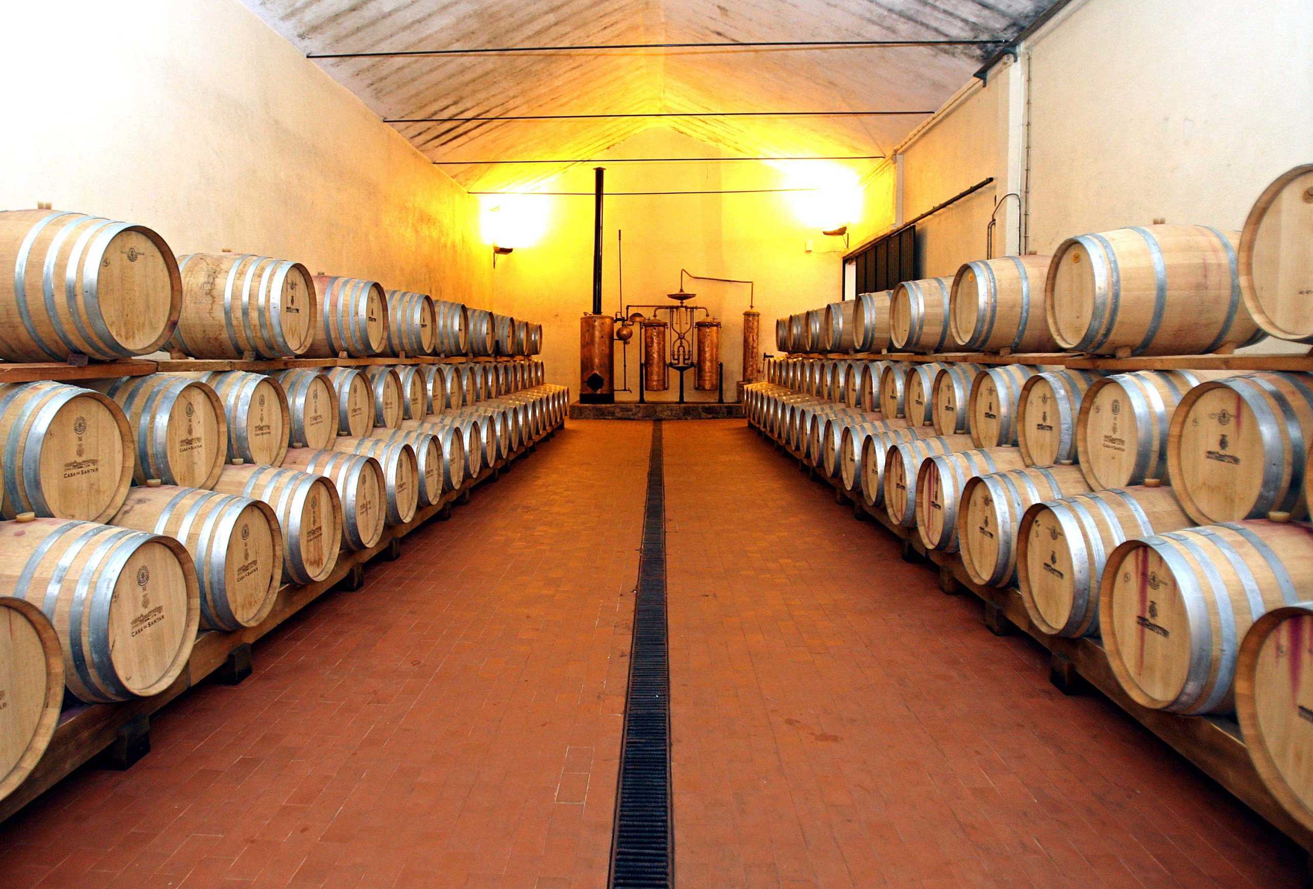 Governo aplica 10 milhões de euros em apoios para o setor do vinho