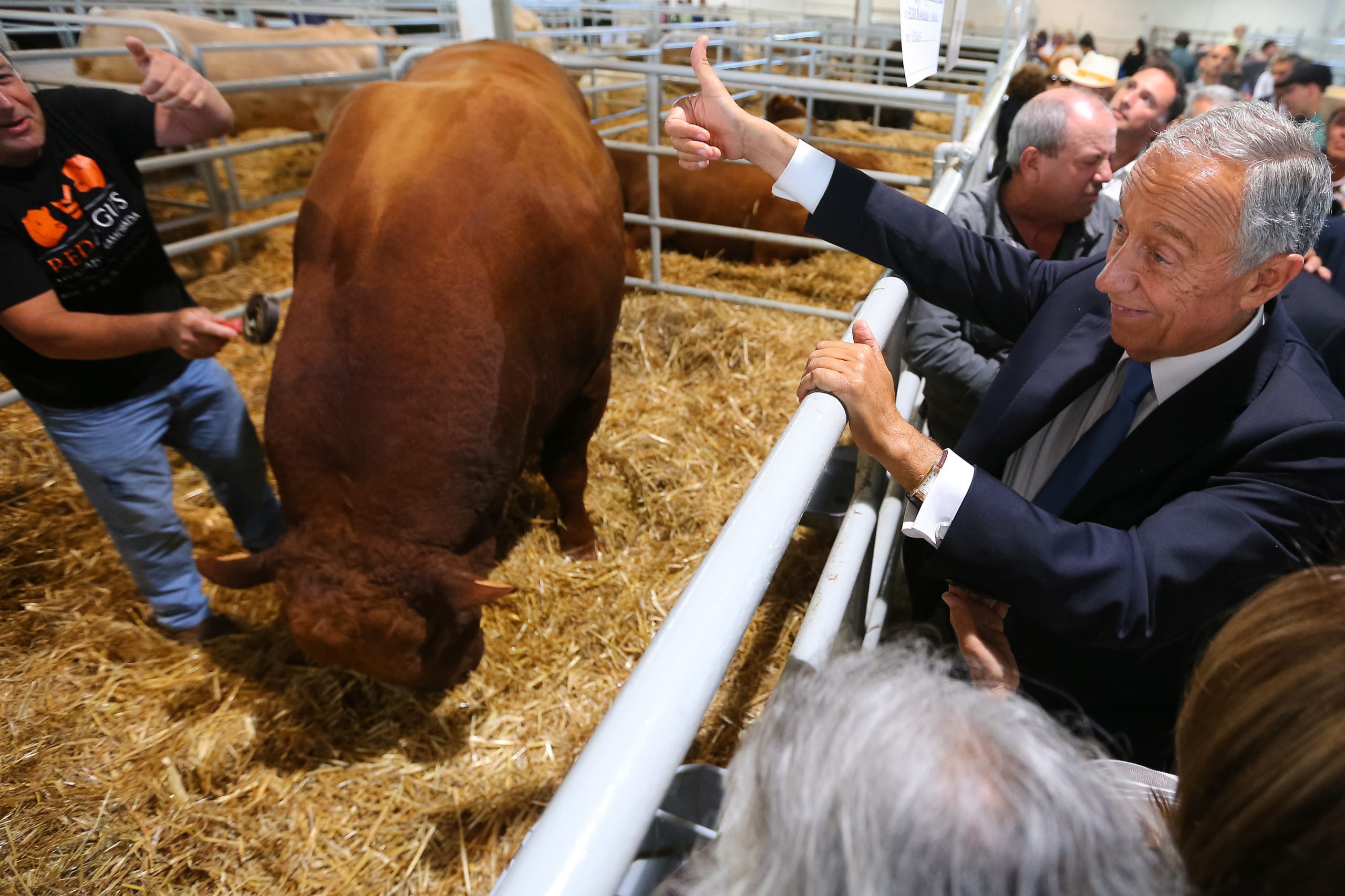 Ovibeja abre hoje para celebrar 35 anos a mostrar “todo o Alentejo deste mundo”