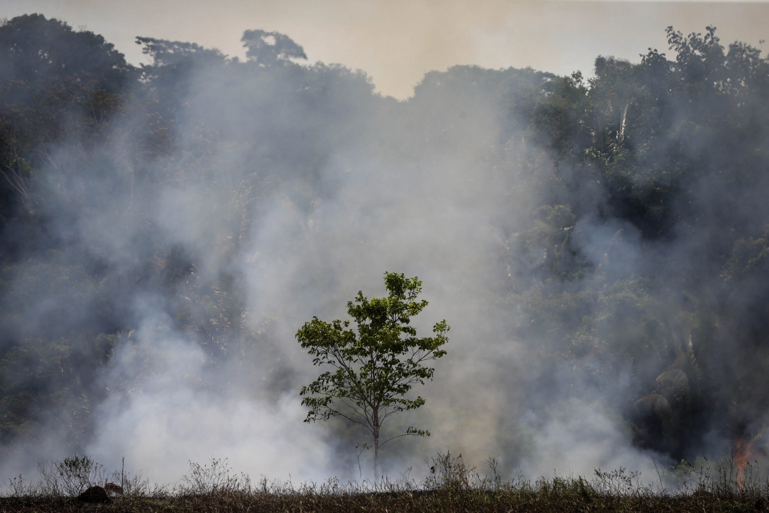 Brasil rejeitou a ajuda da Argentina para combater incêndios na Amazónia