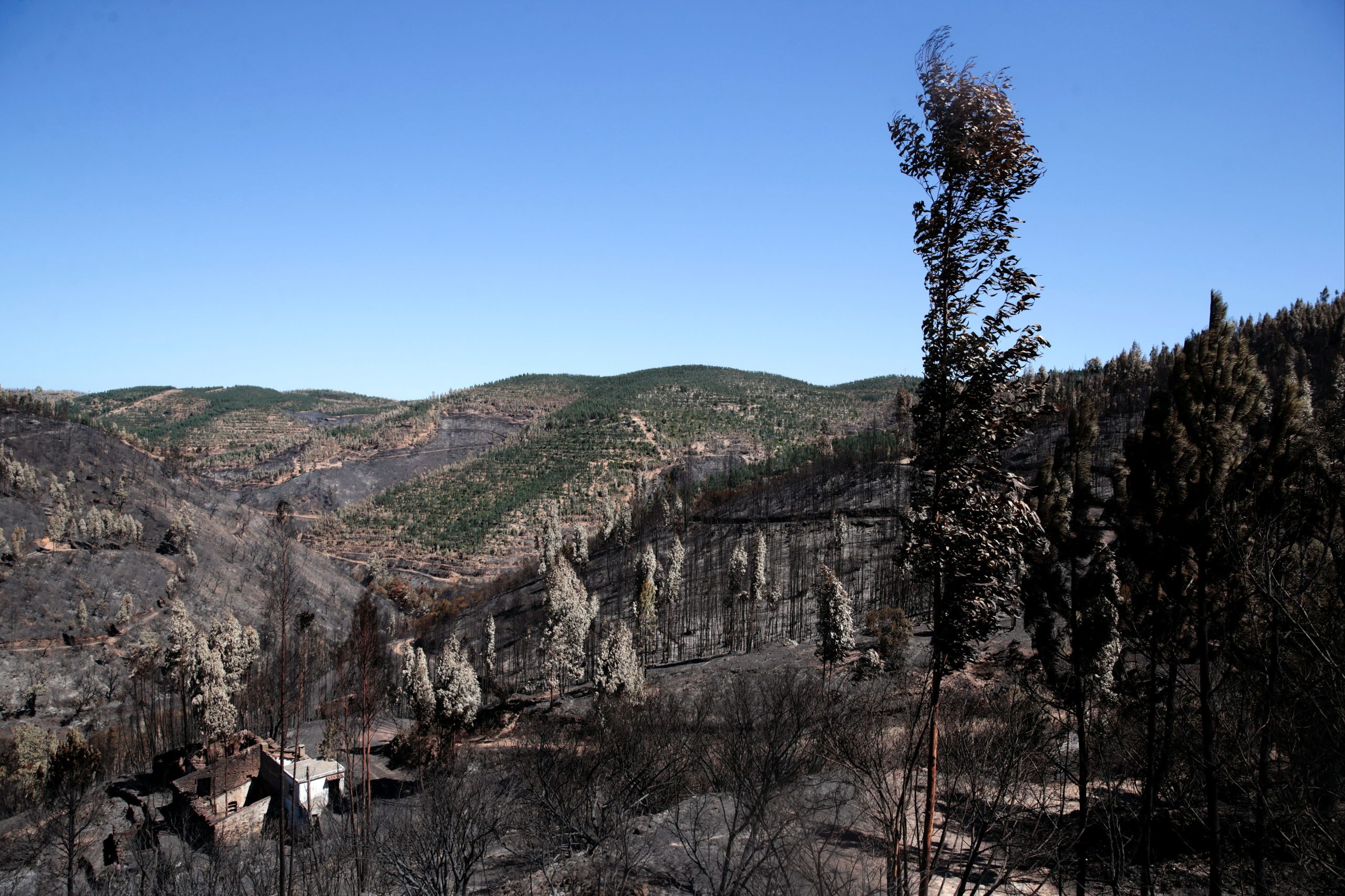 Incêndios: EDP Distribuição e colaborador acusados no processo do fogo de 2018 em Monchique