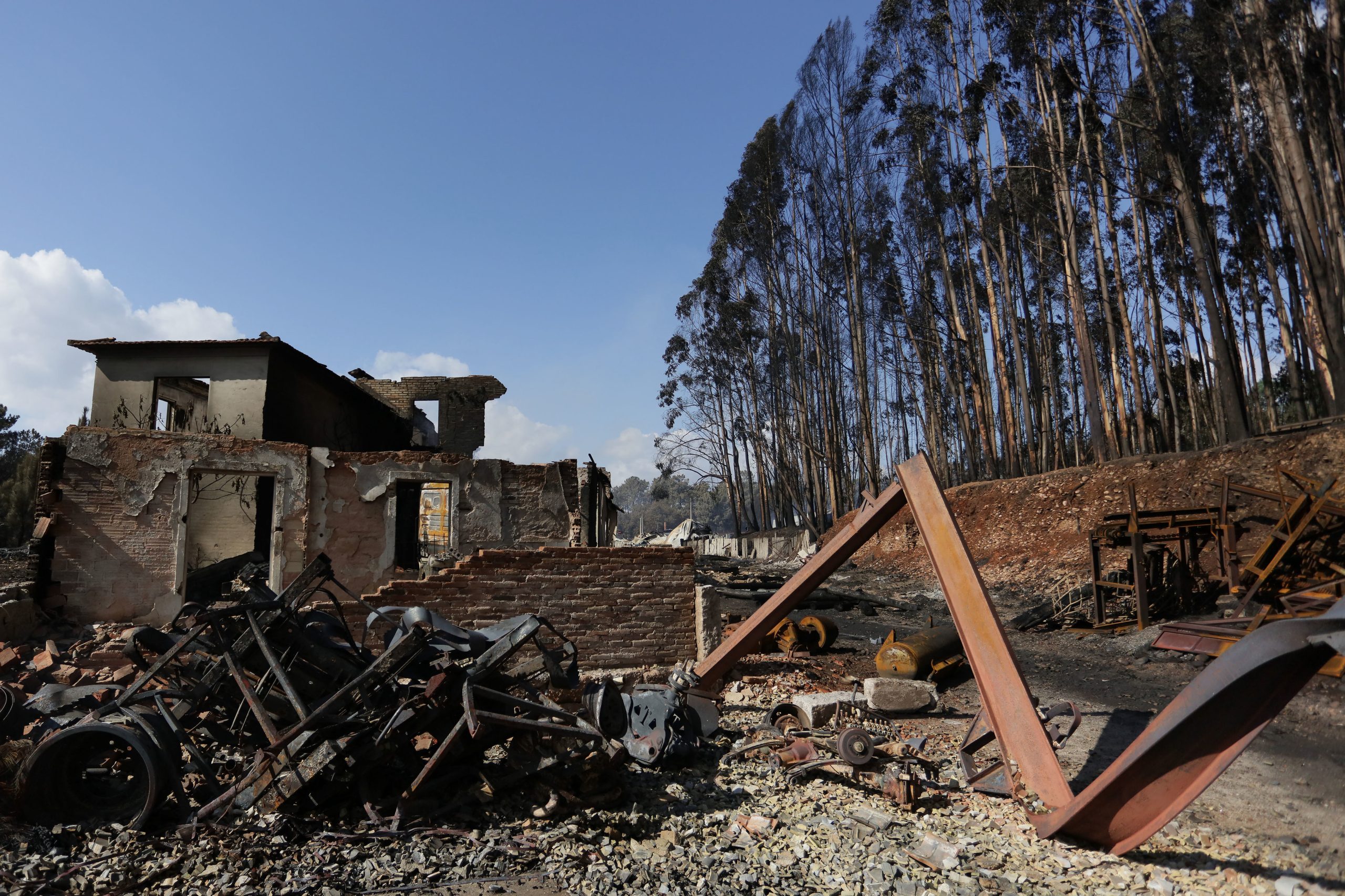 Incêndios: Centenas de alunos de Monção plantam árvores em freguesias afetadas em 2017