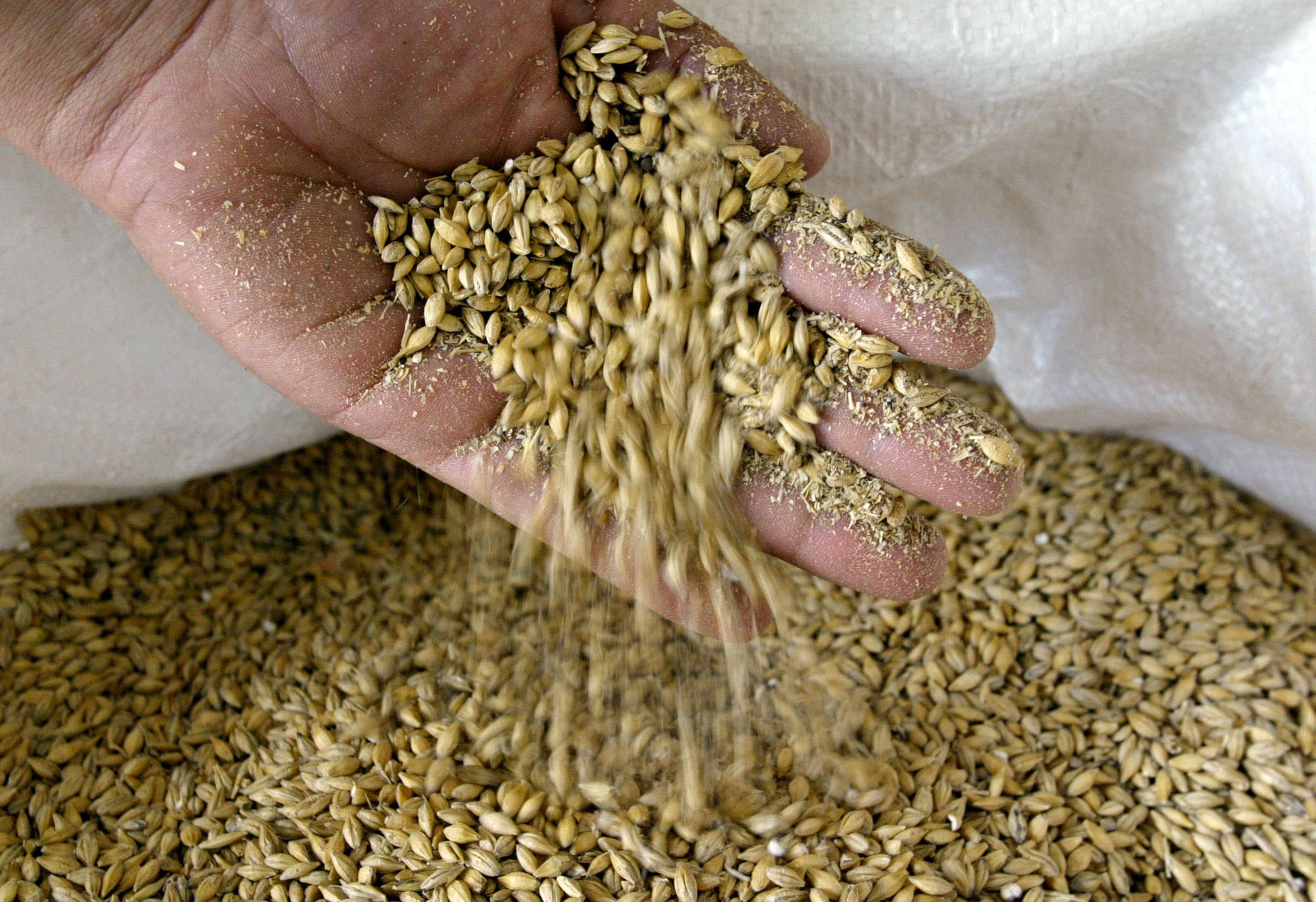 Portugal já só tem cereais para 15 dias: produtos alimentares básicos em risco