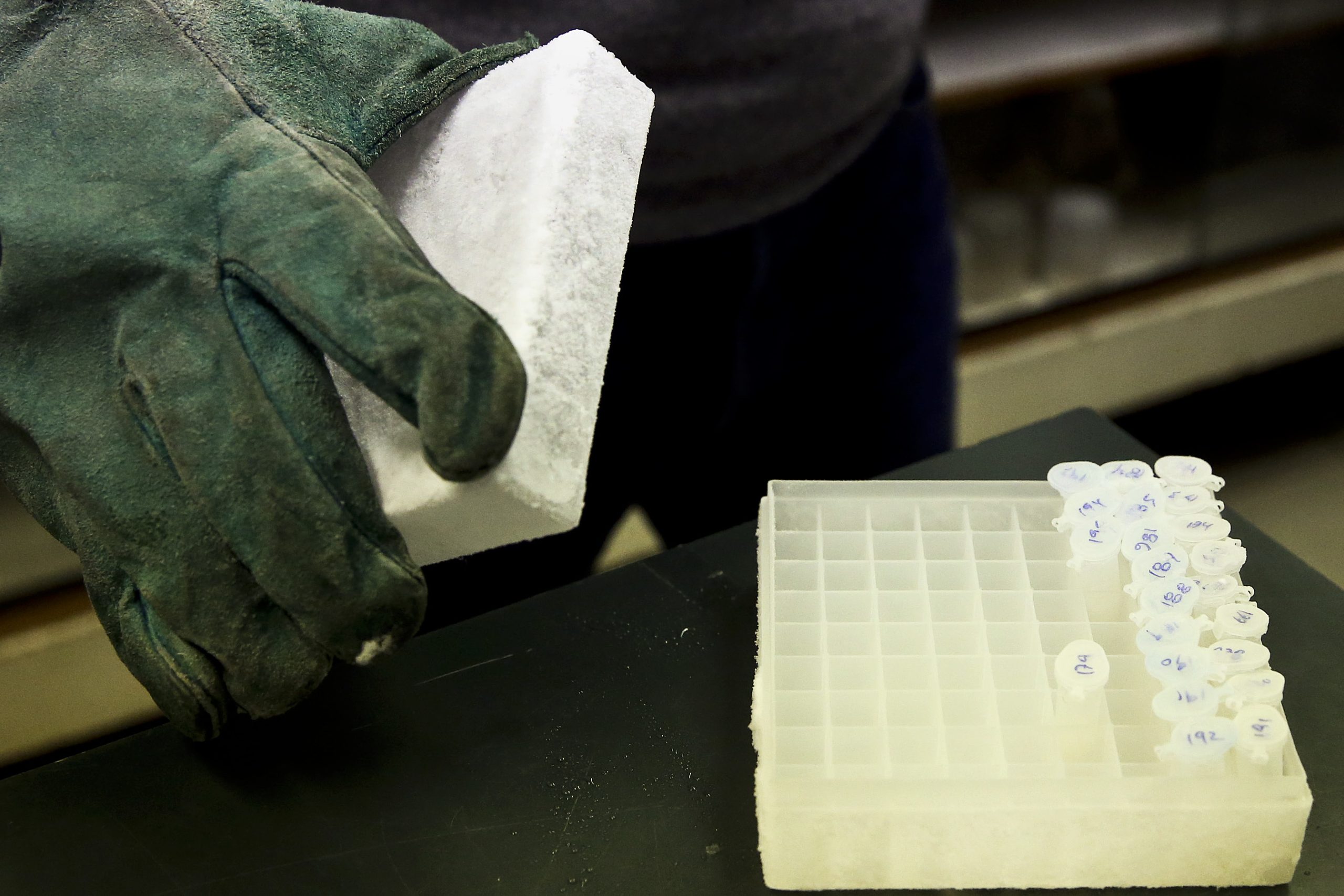 Mais um caso de ‘legionella’ detetado no surto que atinge o Grande Porto