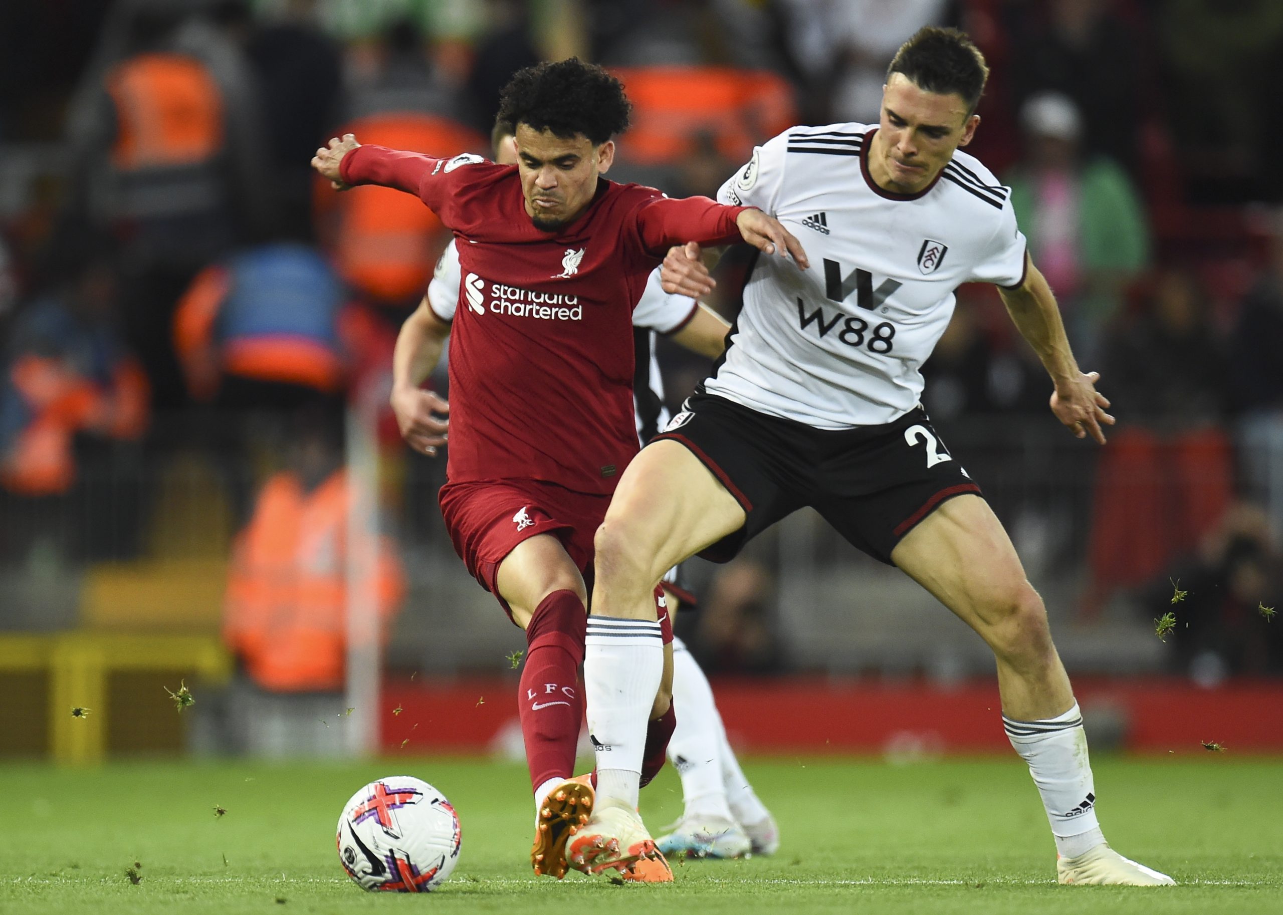 João Palhinha renova com o Fulham, de Marco Silva, até 2028