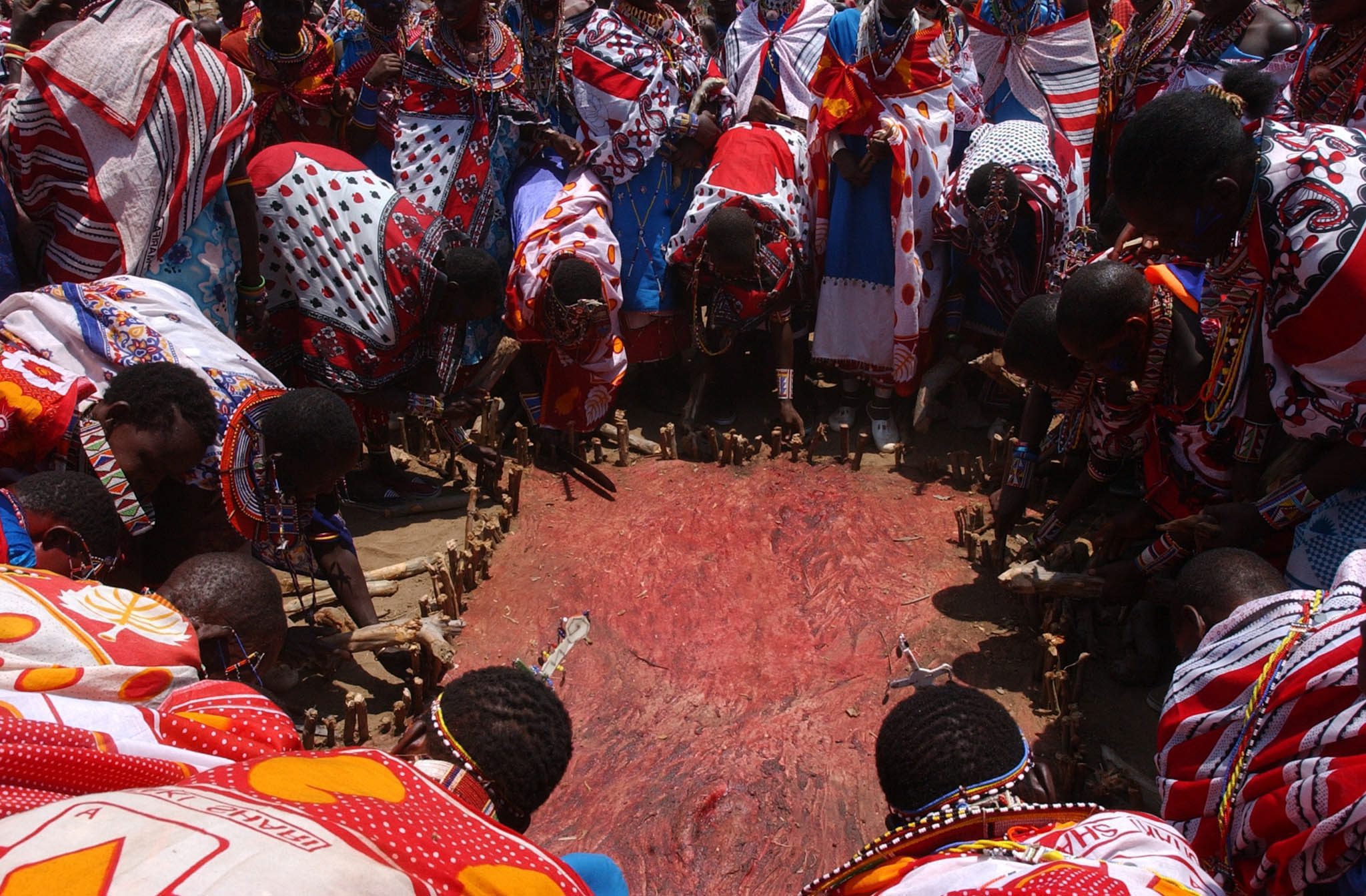 Comunidades Massai pedem à ONU que Tanzânia não os expulse das terras para criar uma reserva