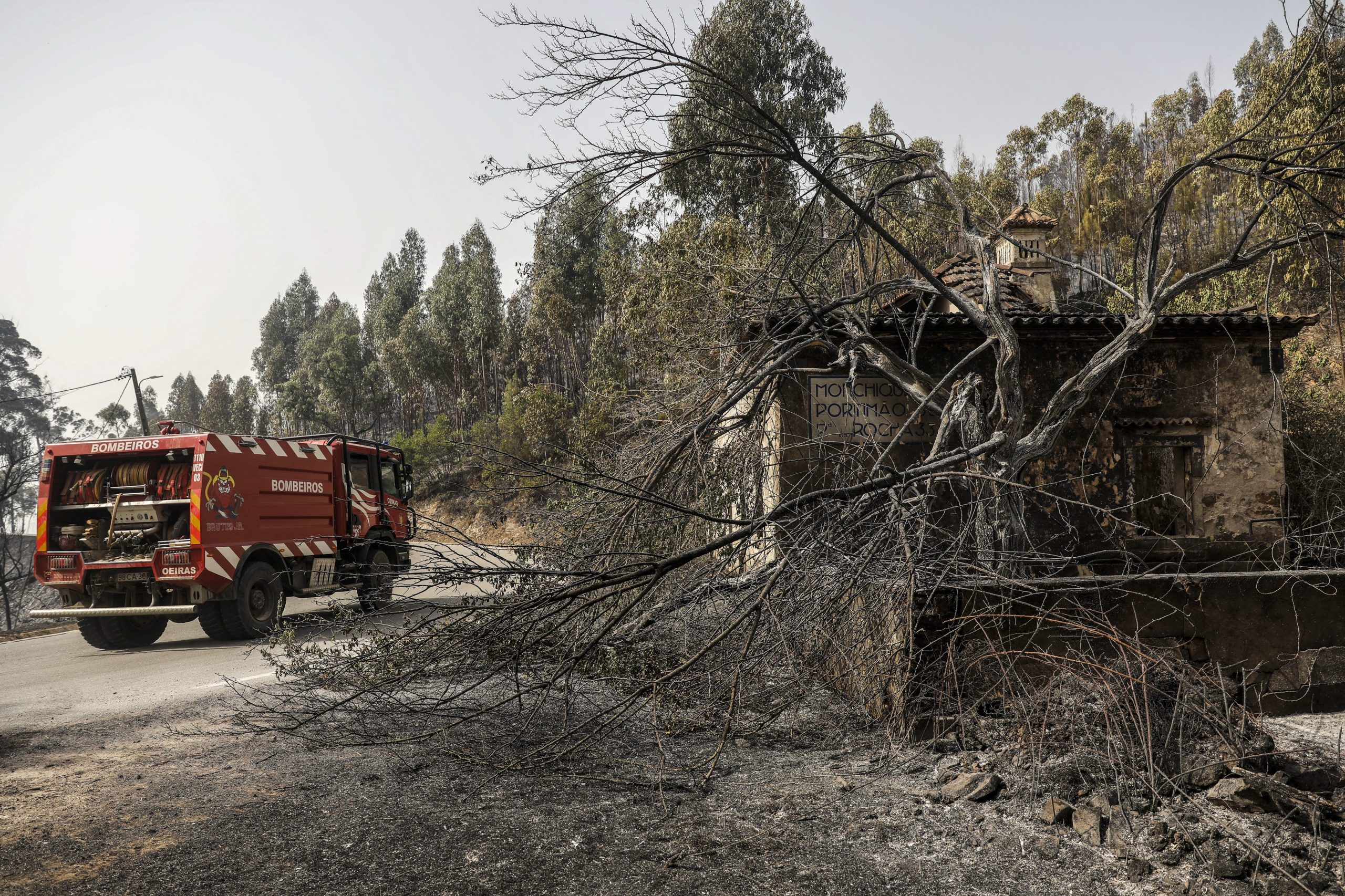 Incêndios na região Centro provocaram 50 mortos e atingiram 1.500 casas e 500 empresas