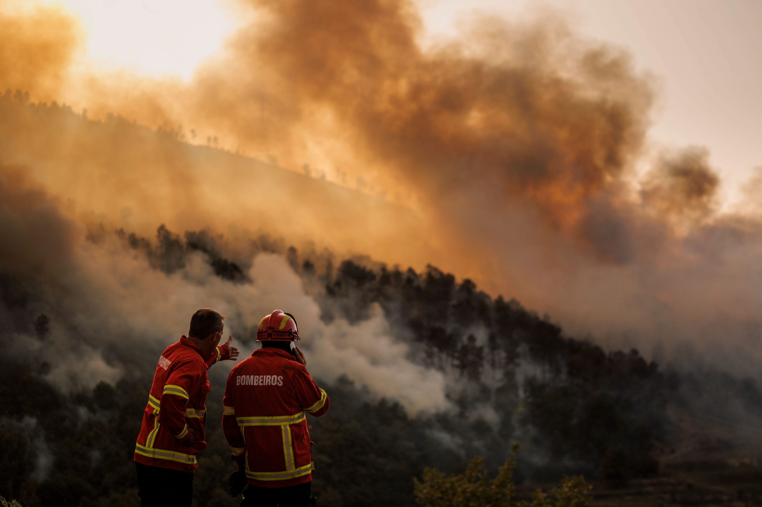 Incêndios rurais. Saiba que estradas estão cortadas