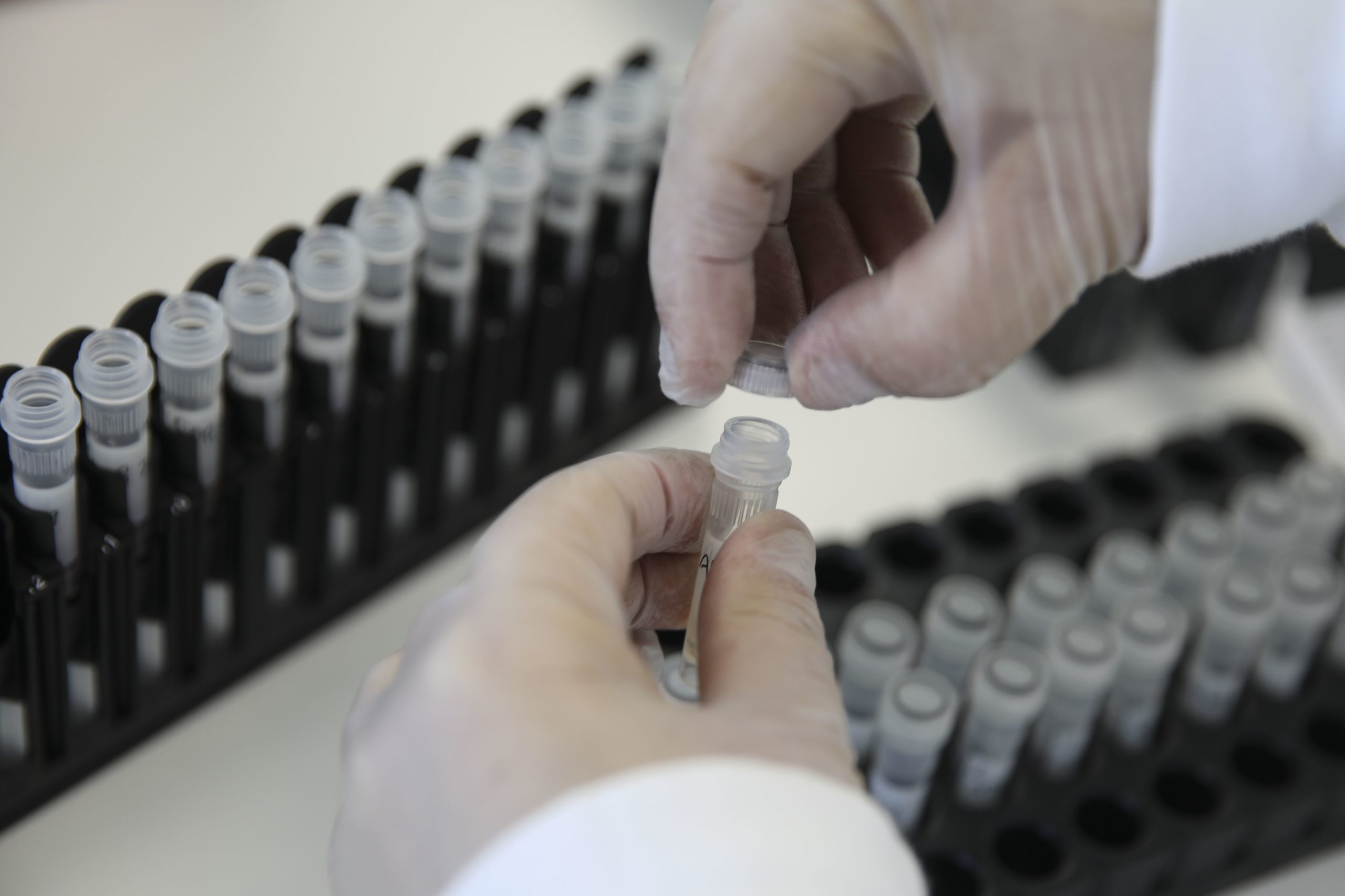 Investigadores do Instituto Ricardo Jorge noutra “linha da frente” para travar a pandemia