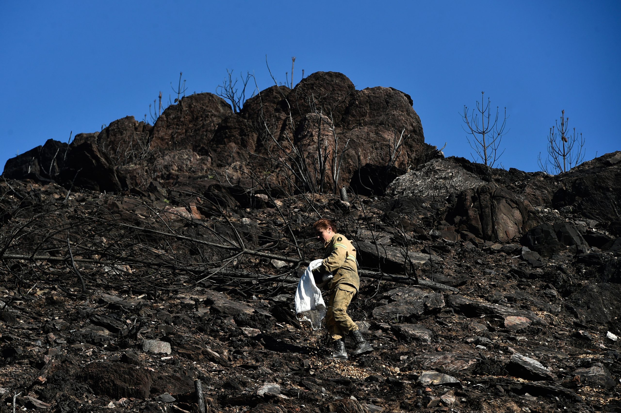 Incêndios: Relatório contabiliza 48 mortos em outubro, maioritariamente idosos