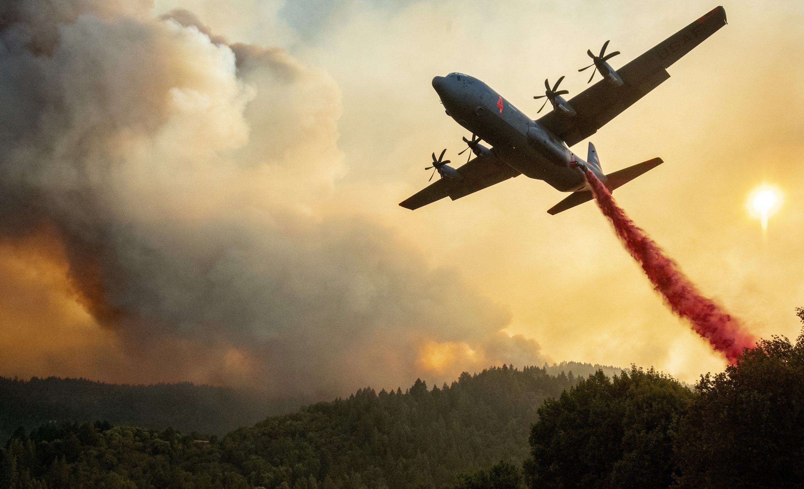 Festa de revelação de sexo de bebé na origem de incêndio florestal no sul da Califórnia
