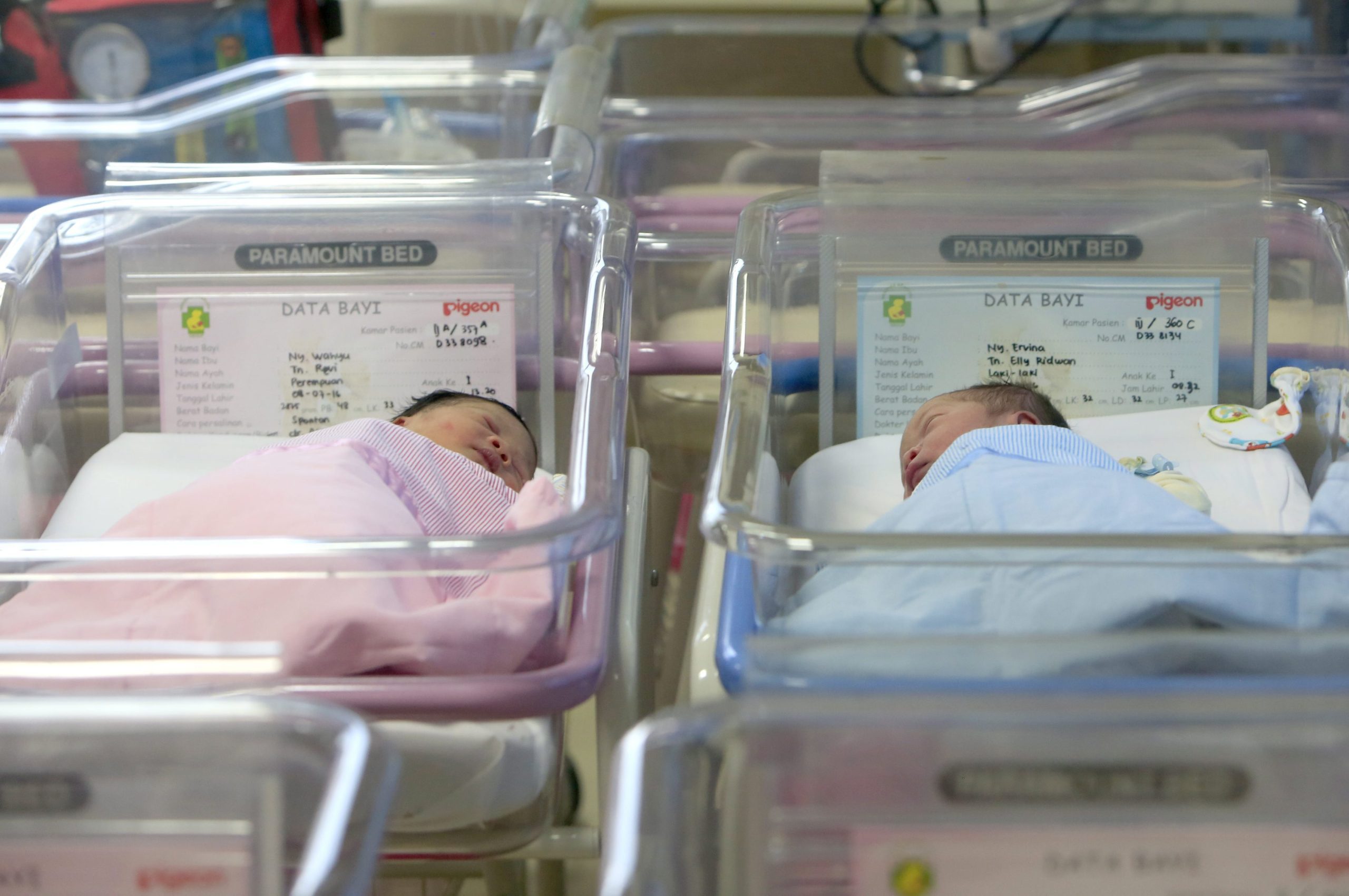 Em Coimbra os bebés nascem já com cartão de cidadão