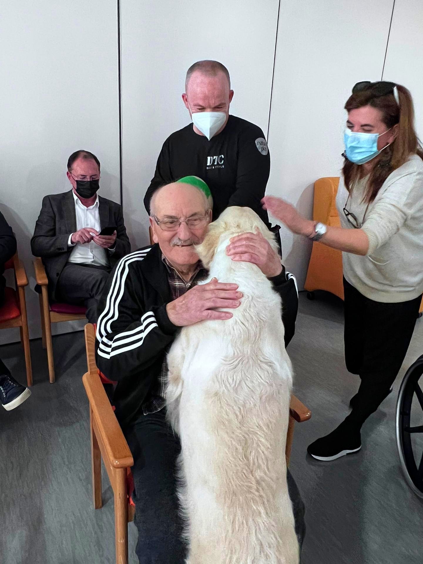 Doutor cão: Em Valença, há terapeutas de quatro patas a ajudar os mais velhos nos lares