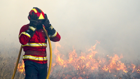 PJ detém suspeito de atear fogo em área florestal de Barcelos