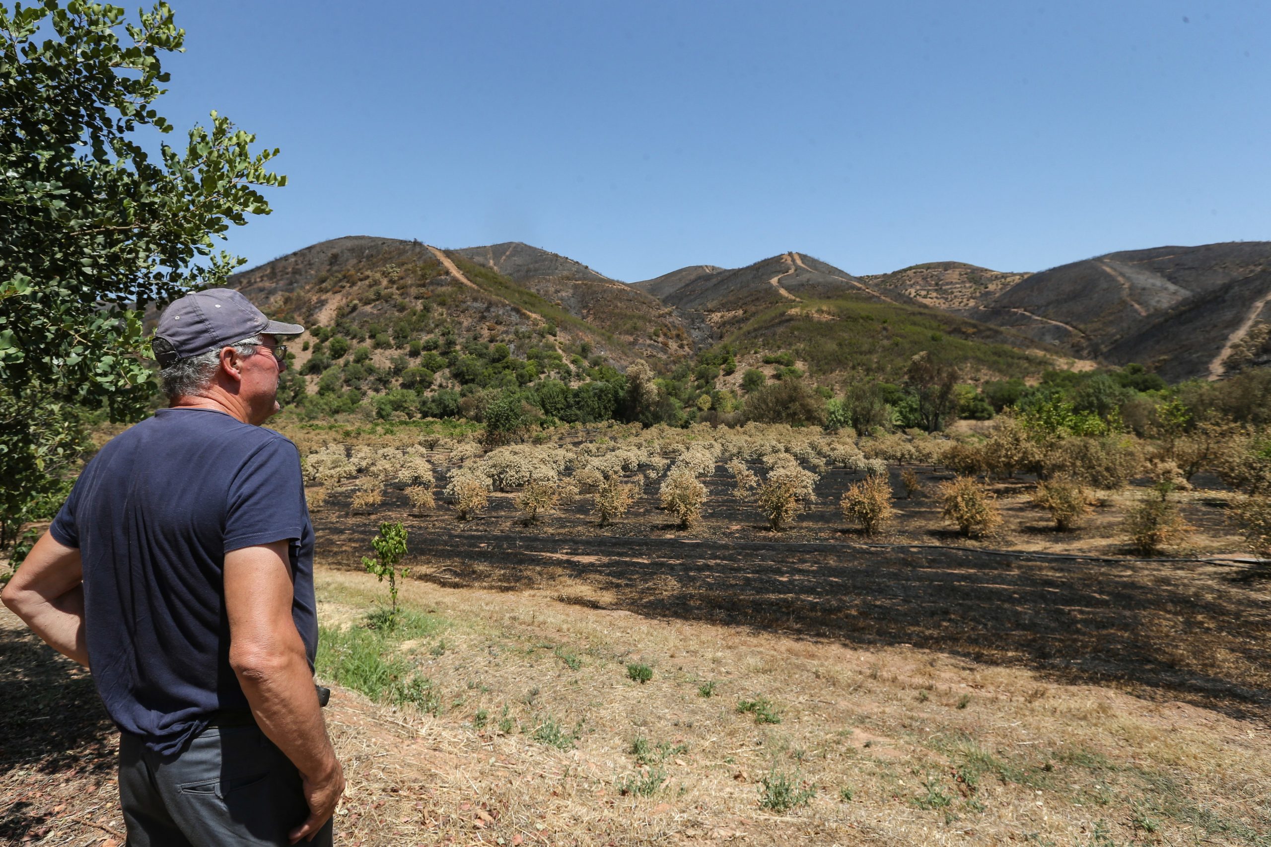 Incêndios. Reposição de trilhos e captação de visitantes visam relançar turismo em Monchique
