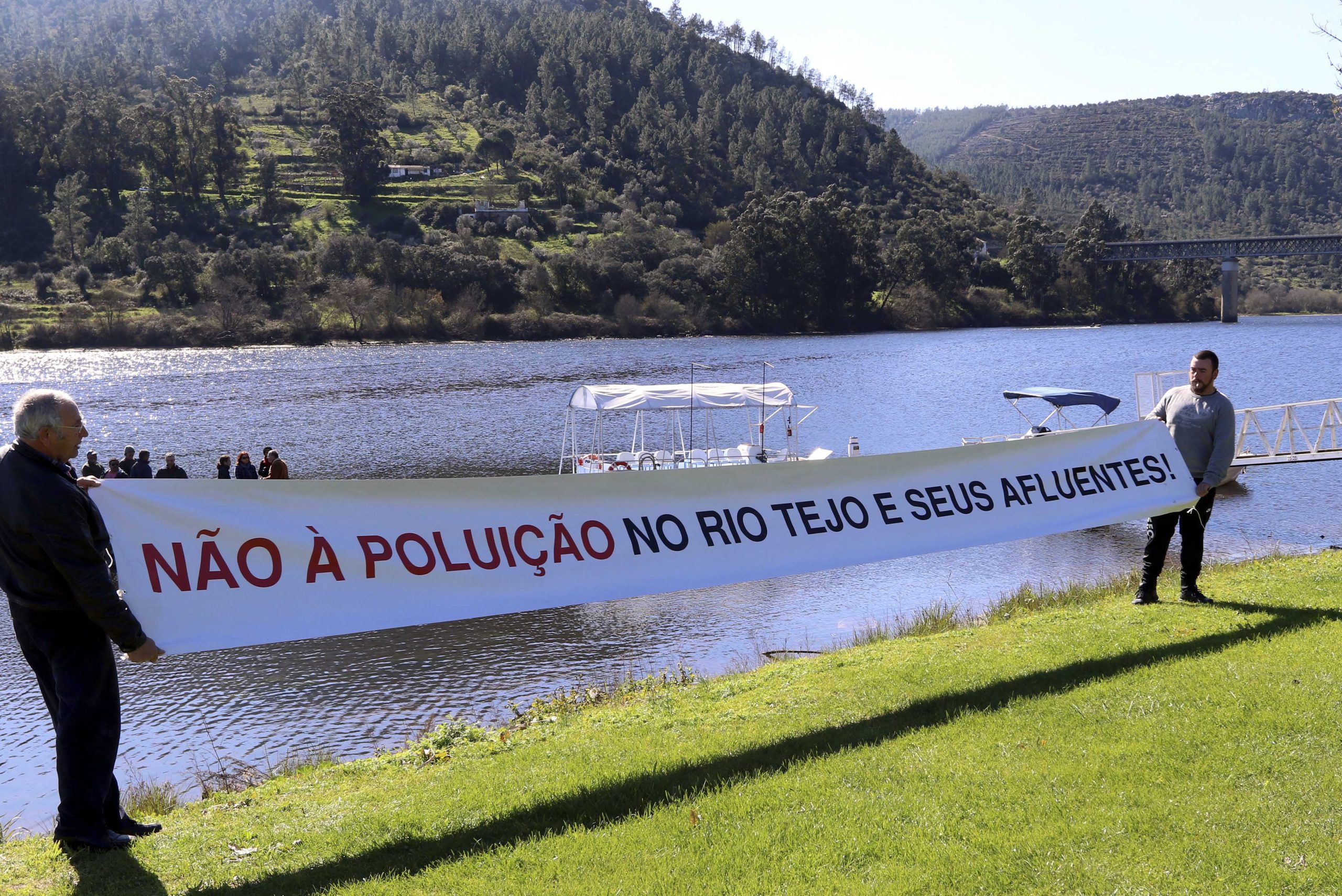 Ambientalistas rejeitam morte de peixes no Tejo por algas. “É desviar as atenções dos principais poluidores”