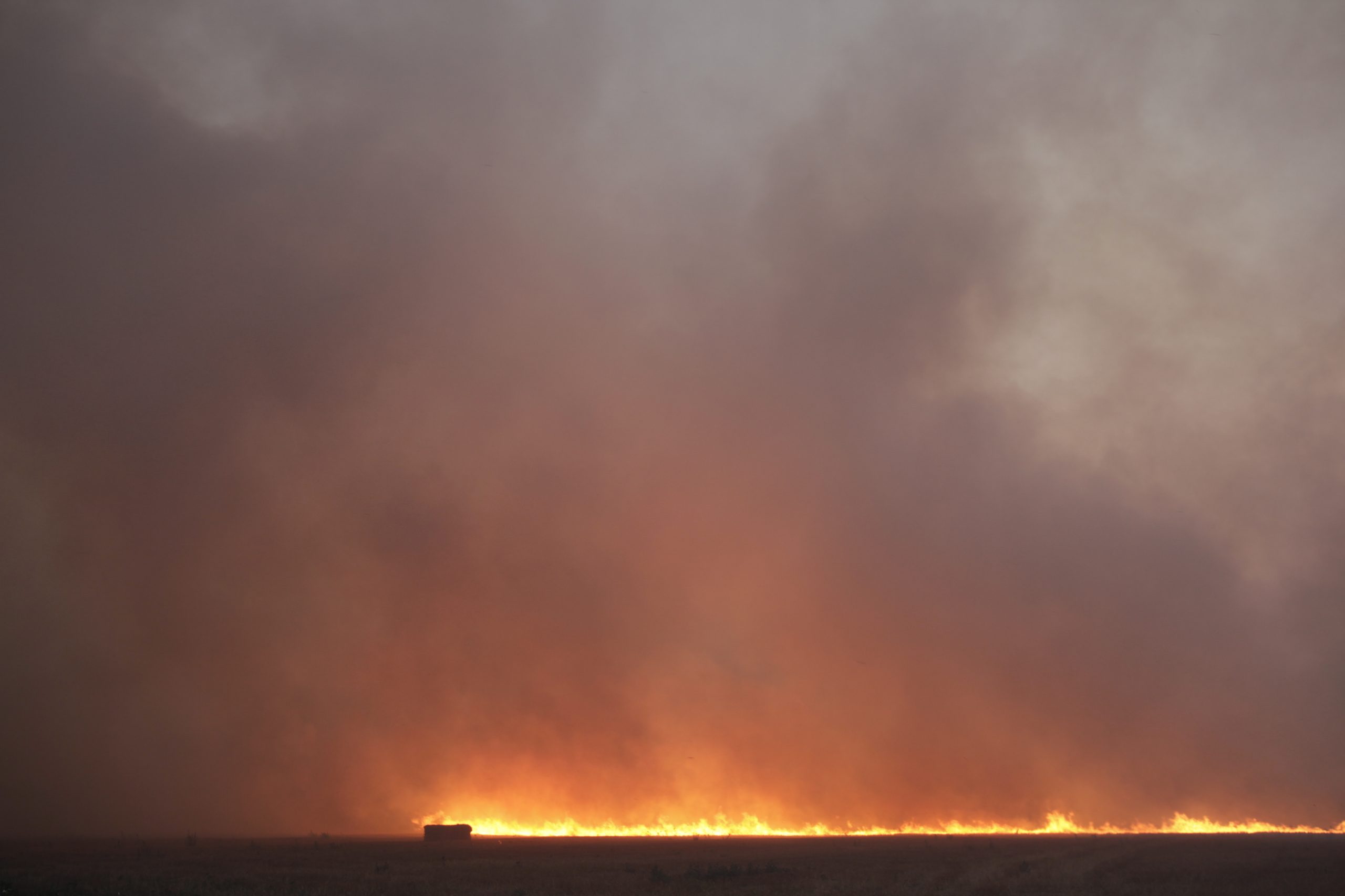 Combate aos incêndios melhorou, mas reforma “está atrasada nalgumas vertentes importantes”