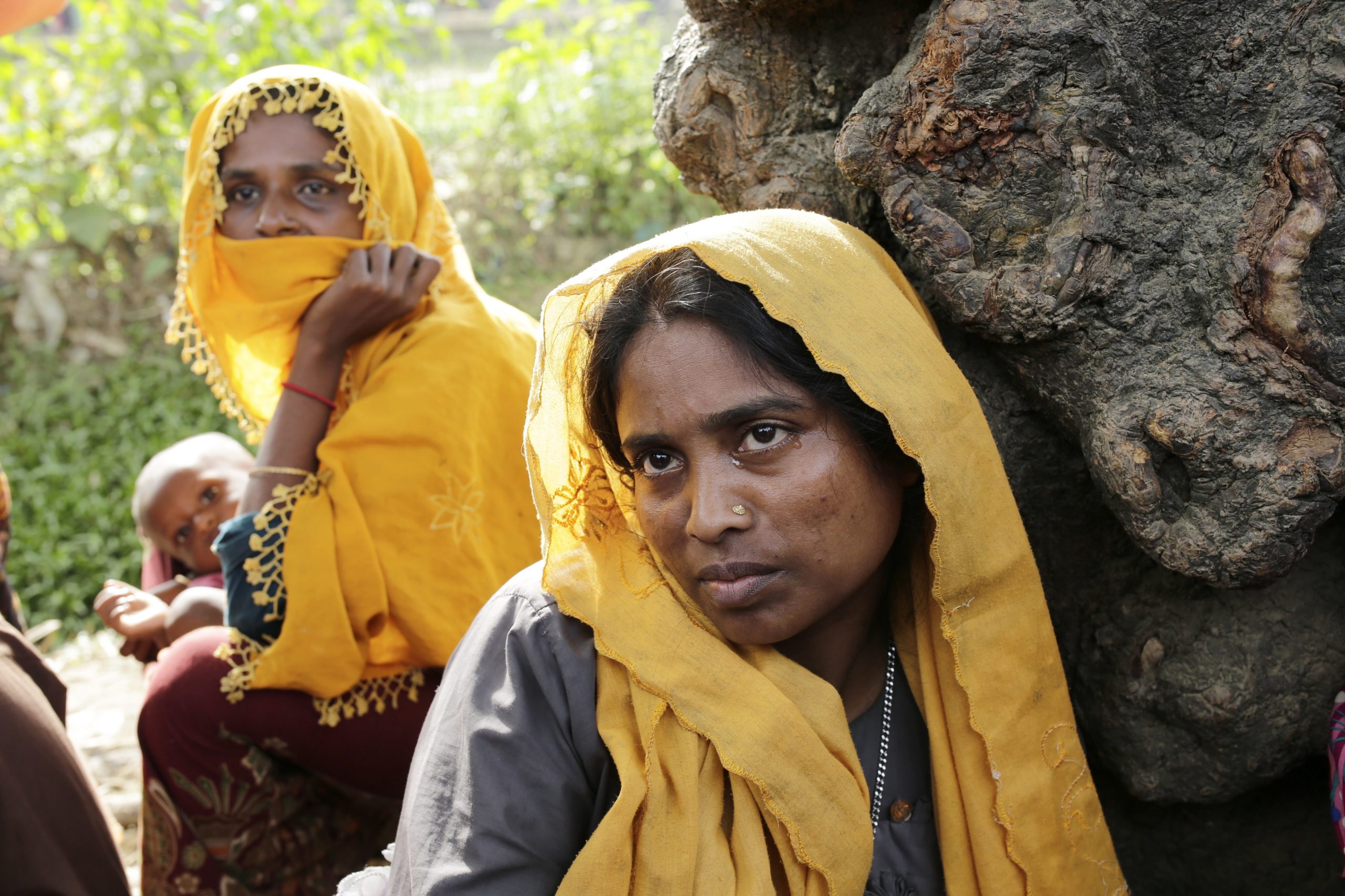 Nenhum rohingya se apresentou para regressar a Myanmar, diz comissário do Bangladesh