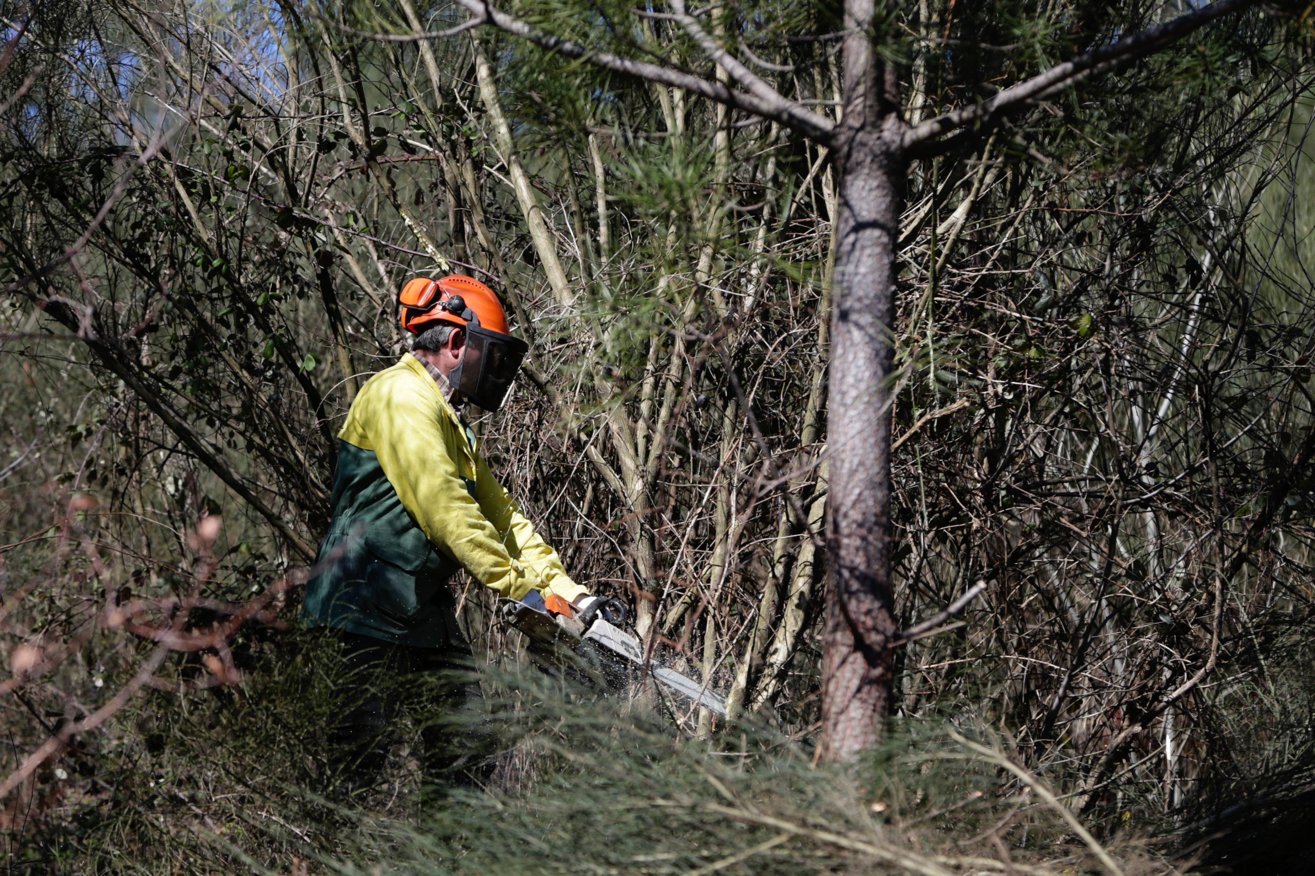 Incêndios: Prazo para limpar terrenos termina hoje após prorrogação devido à pandemia