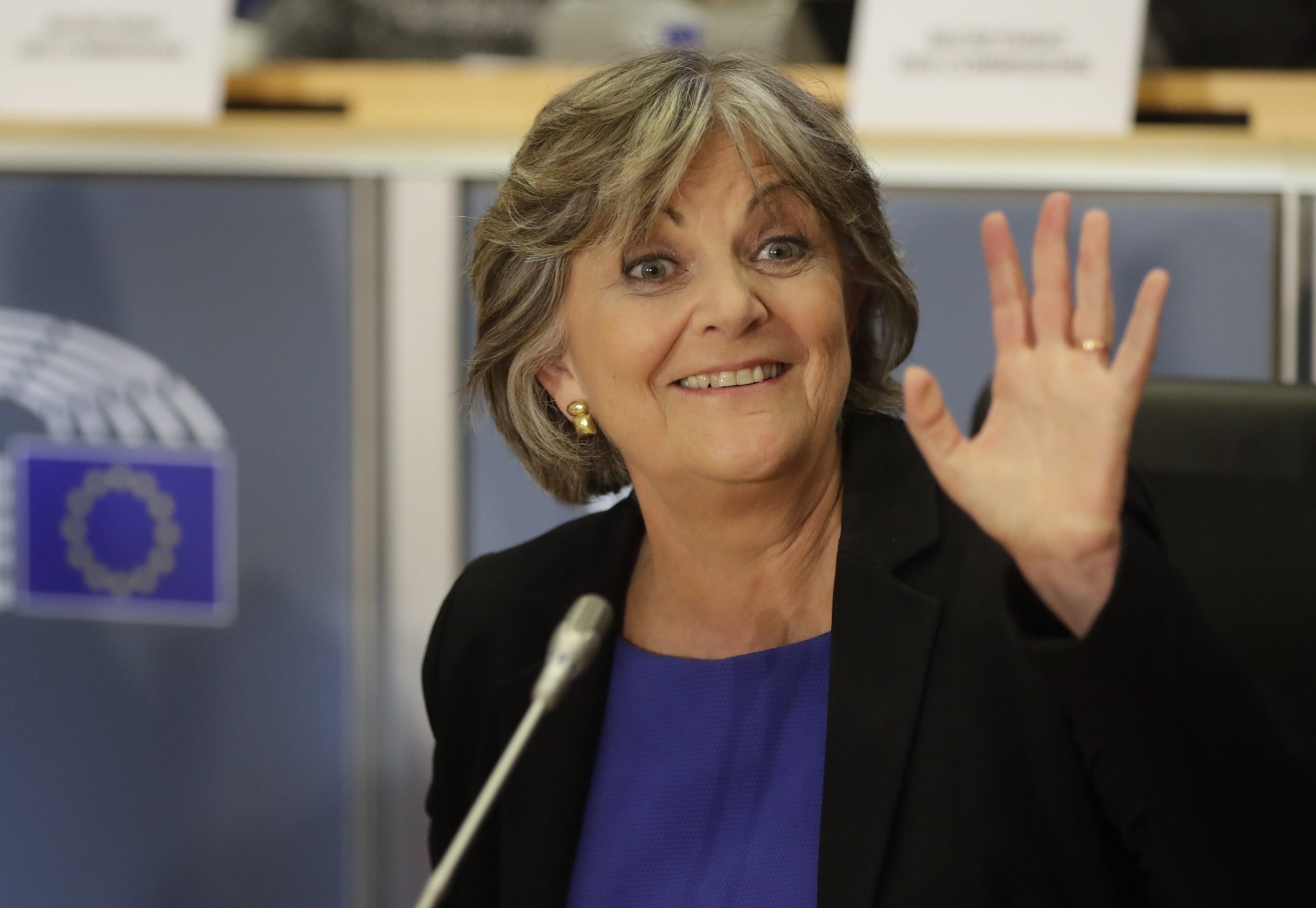 Elisa Ferreira diz que Centeno cumpre todas as condições para o cargo de governador do Banco de Portugal