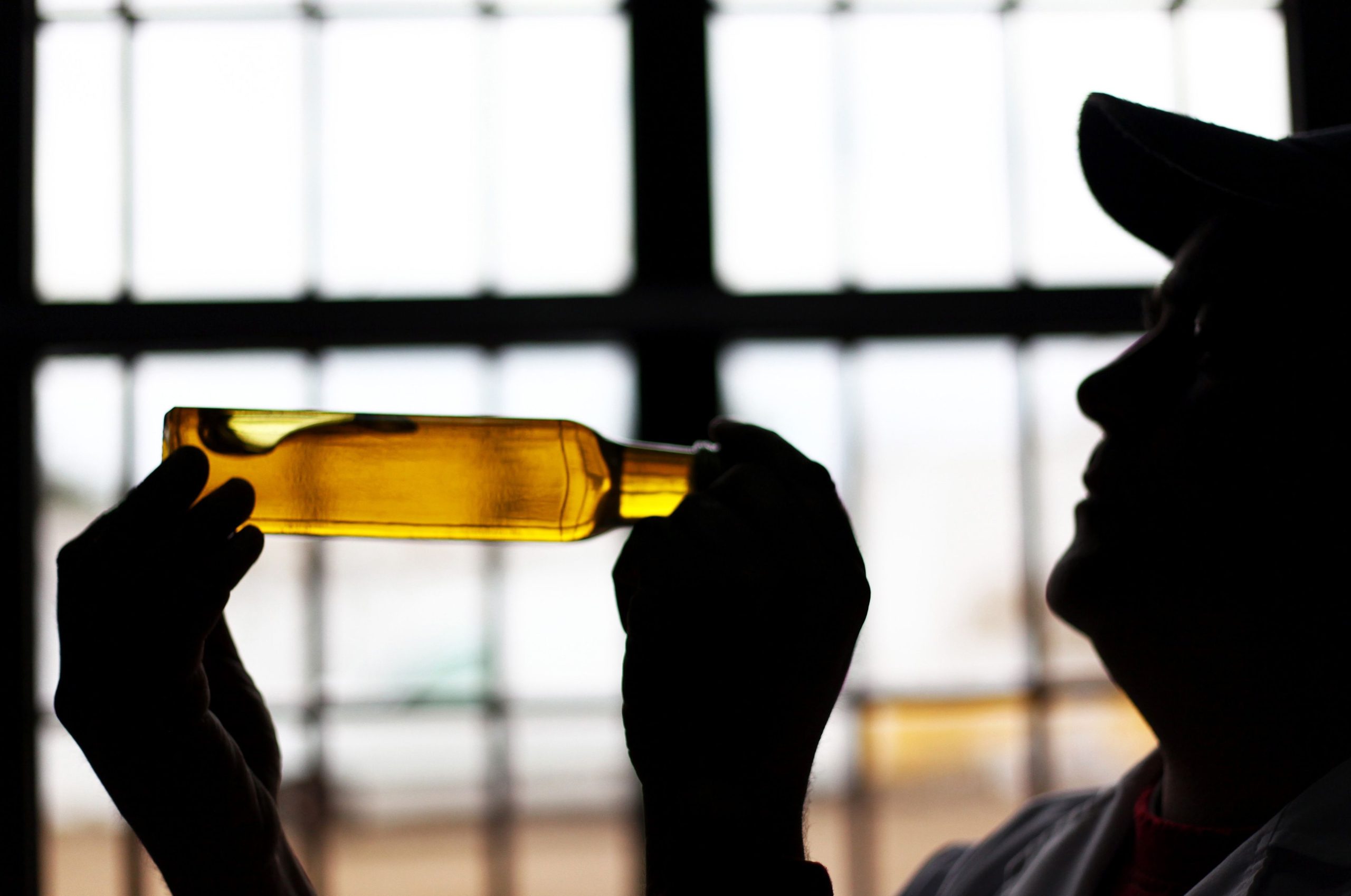 Portugal com recorde de produção de azeite e dificuldade em escoar bagaço de azeitona