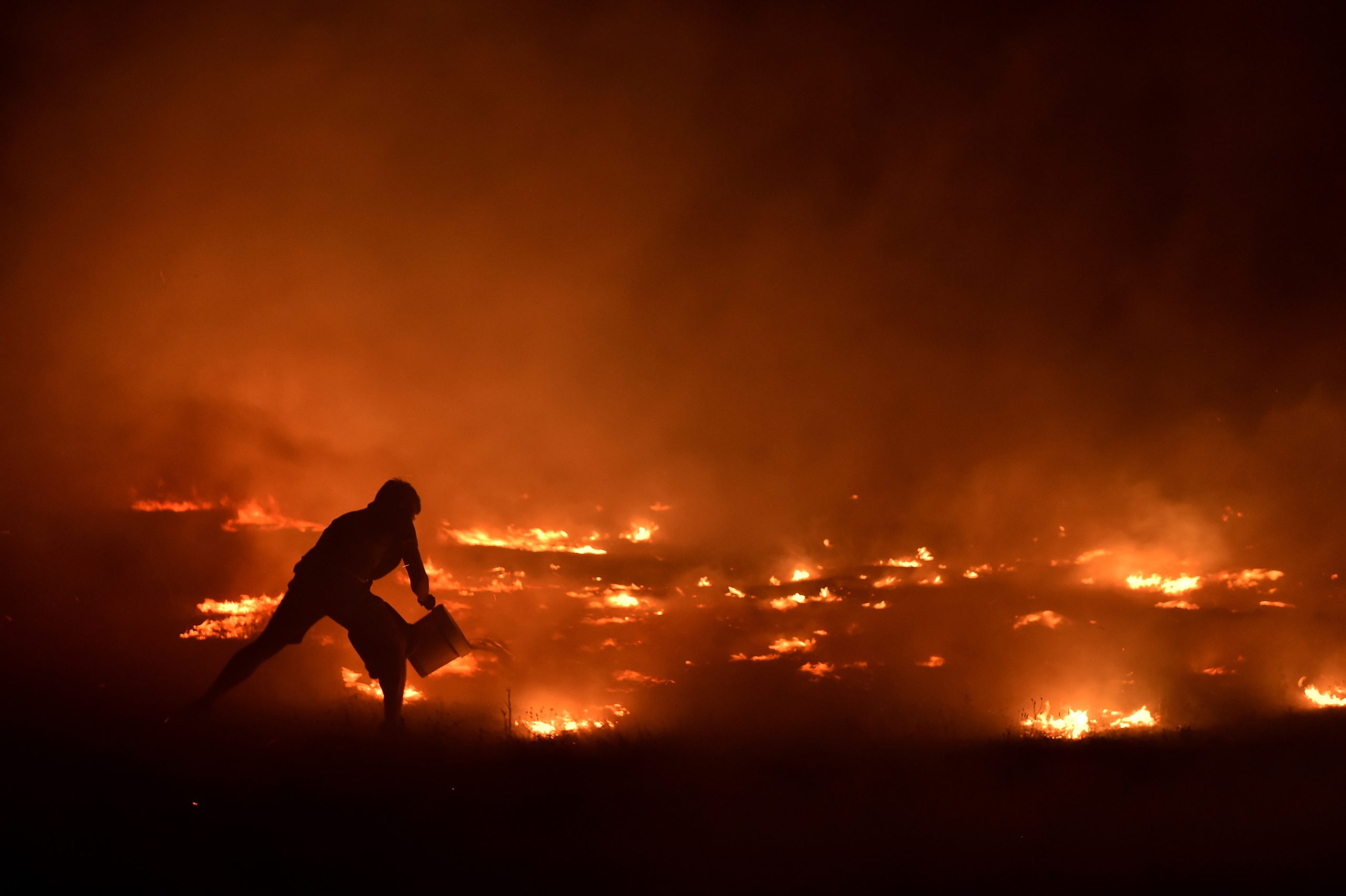 Incêndios: Um ano depois, associação de vítimas constata ambiente de frustração e desânimo