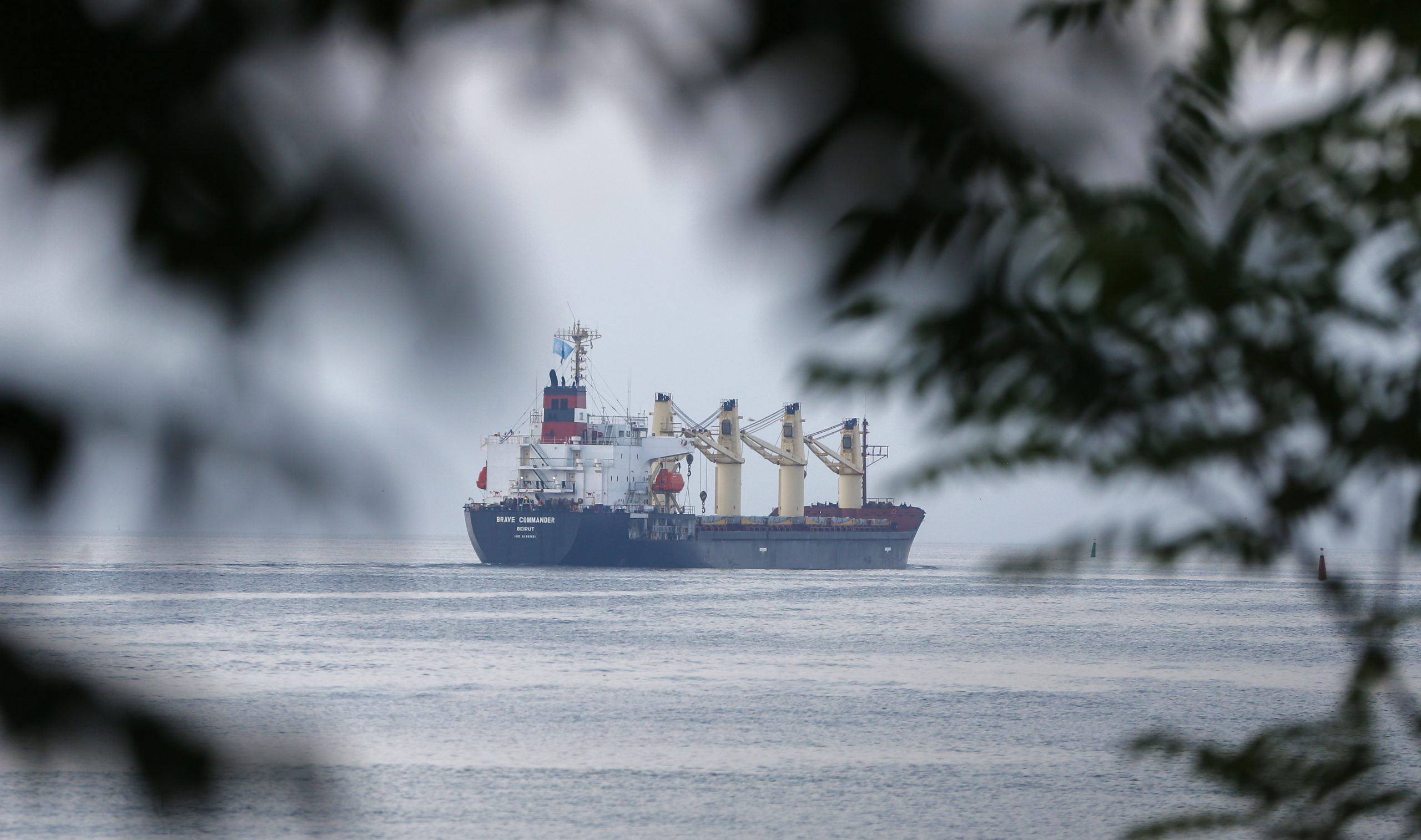 Navio carregado com trigo ucraniano chega a África para matar a fome a 22 milhões de pessoas