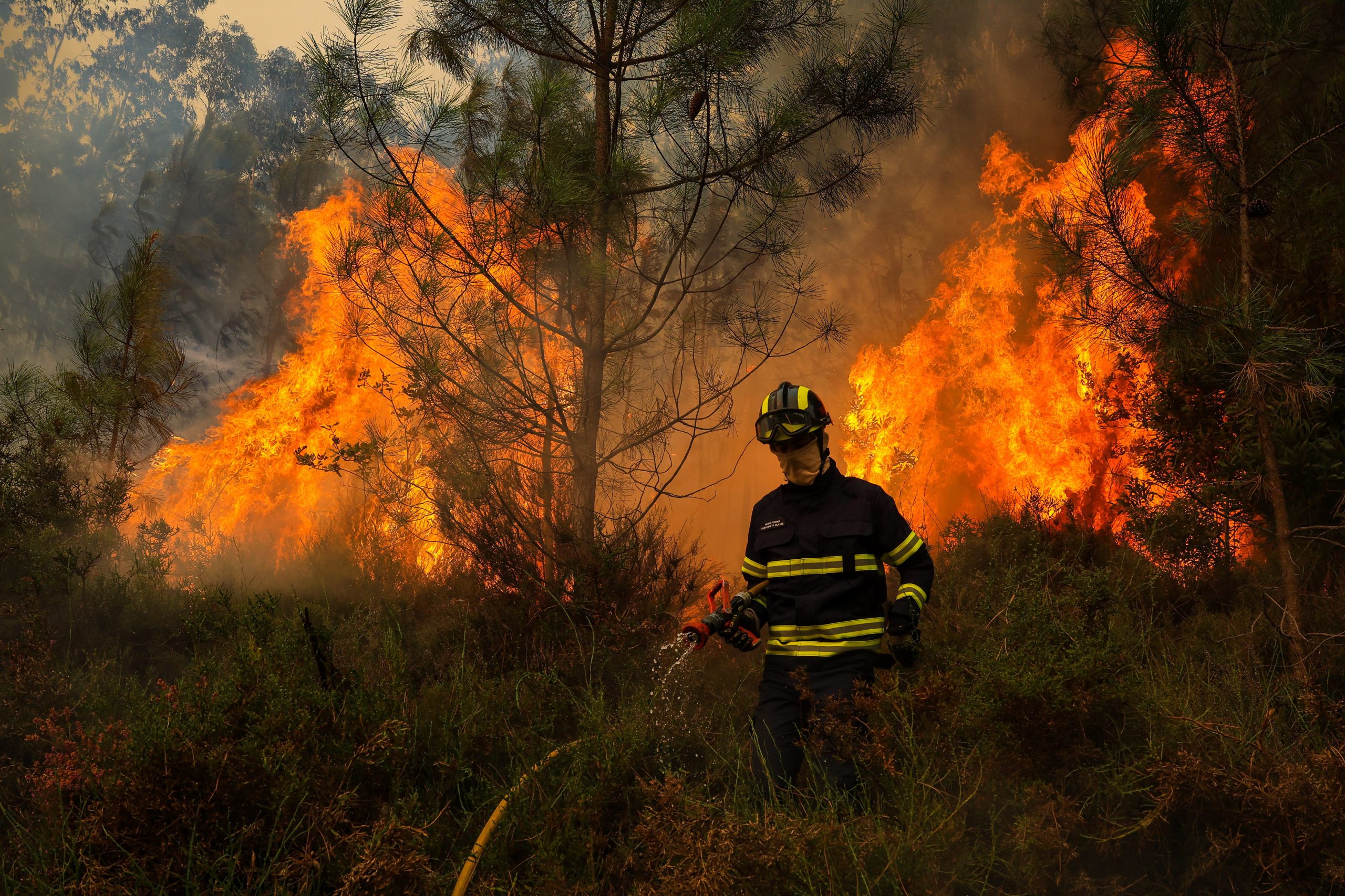 Hoje é notícia. Incêndios, guerra comercial e menos candidaturas ao Ensino Superior