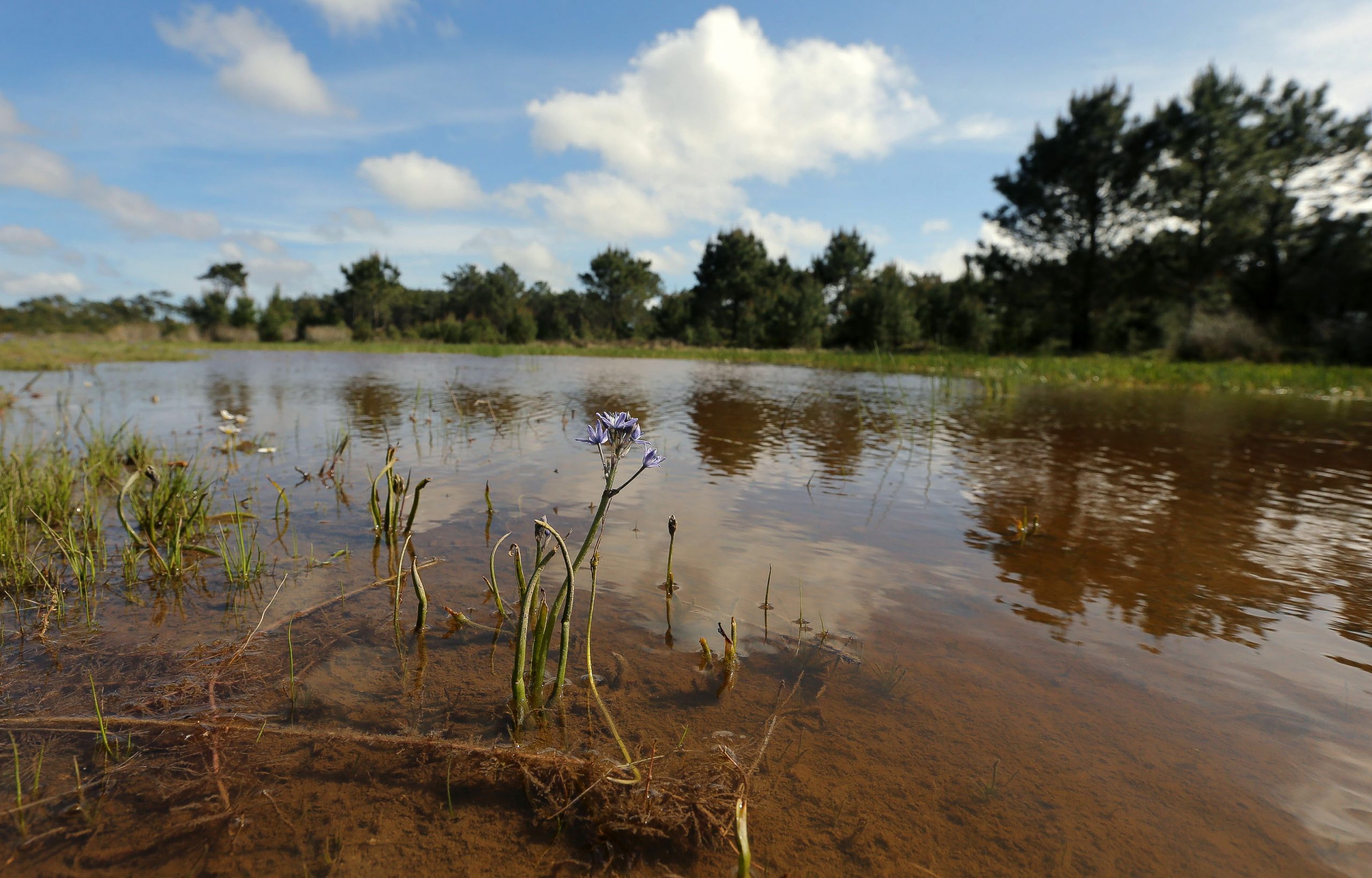 Governo garante já ter adotado medidas de apoio a agricultores afetados pela seca