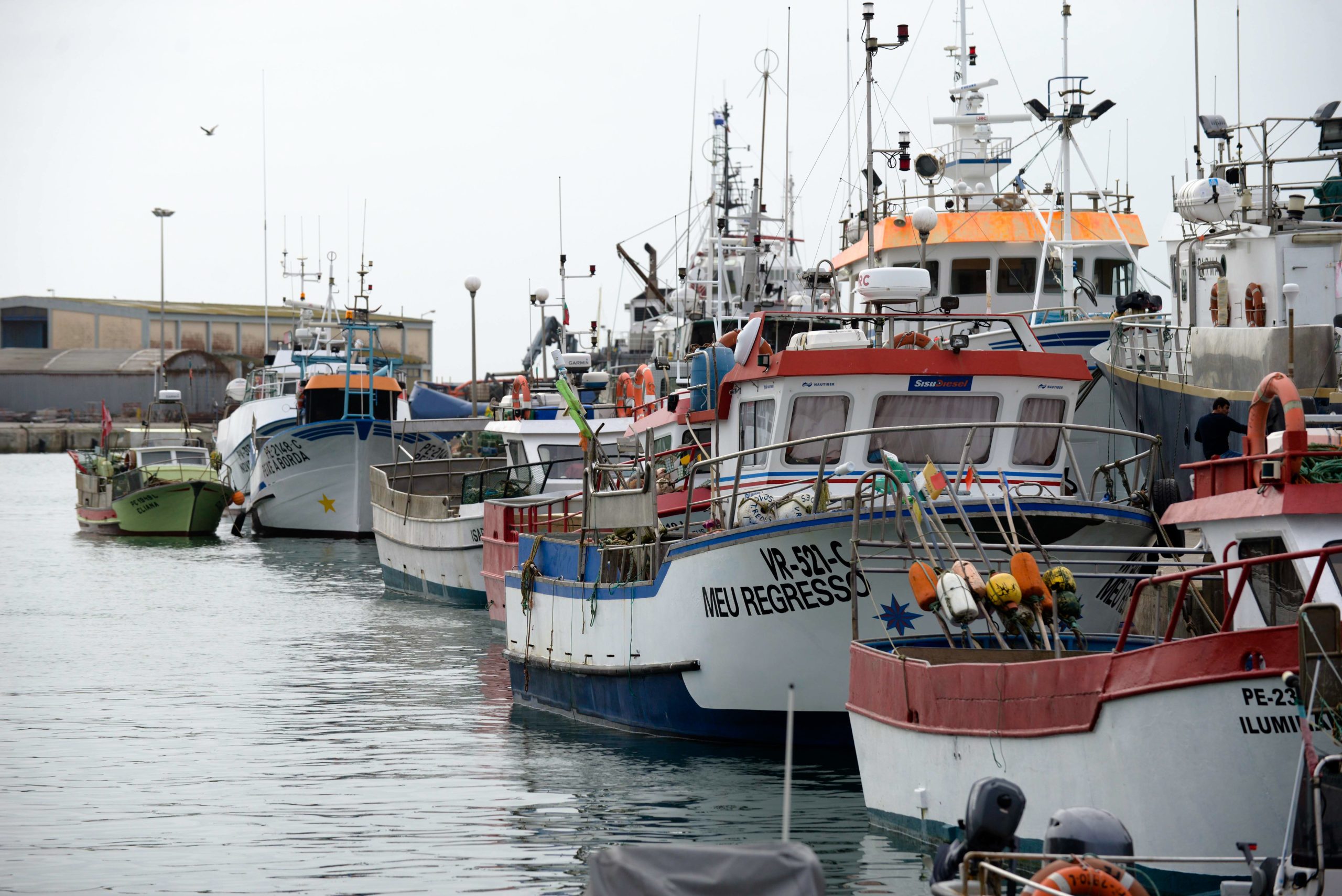 Linha de crédito bonificada para setor da pesca reforçada com mais 20 milhões de euros