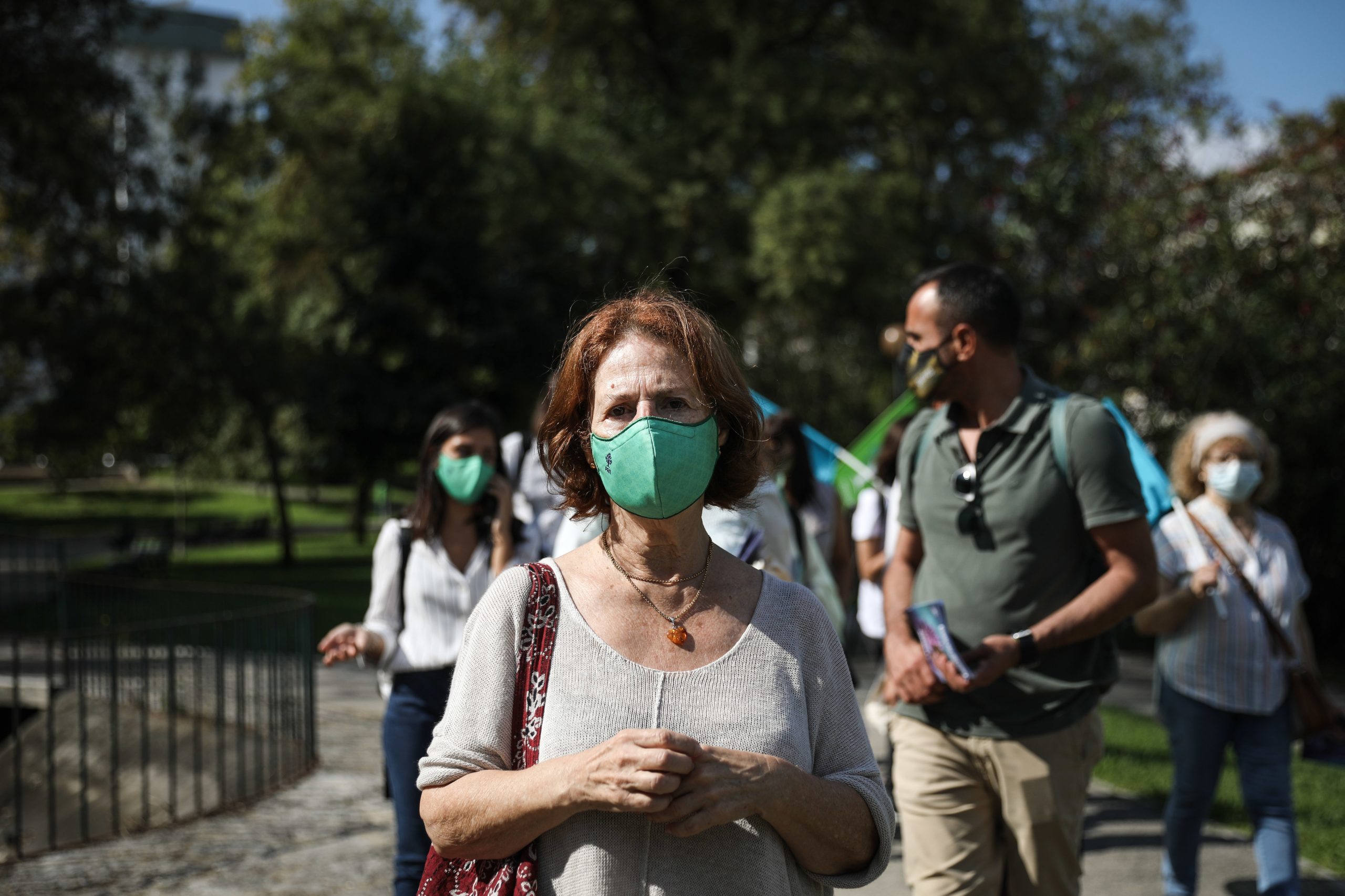 Autárquicas: PAN denuncia abates de árvores “abusivos” em Lisboa