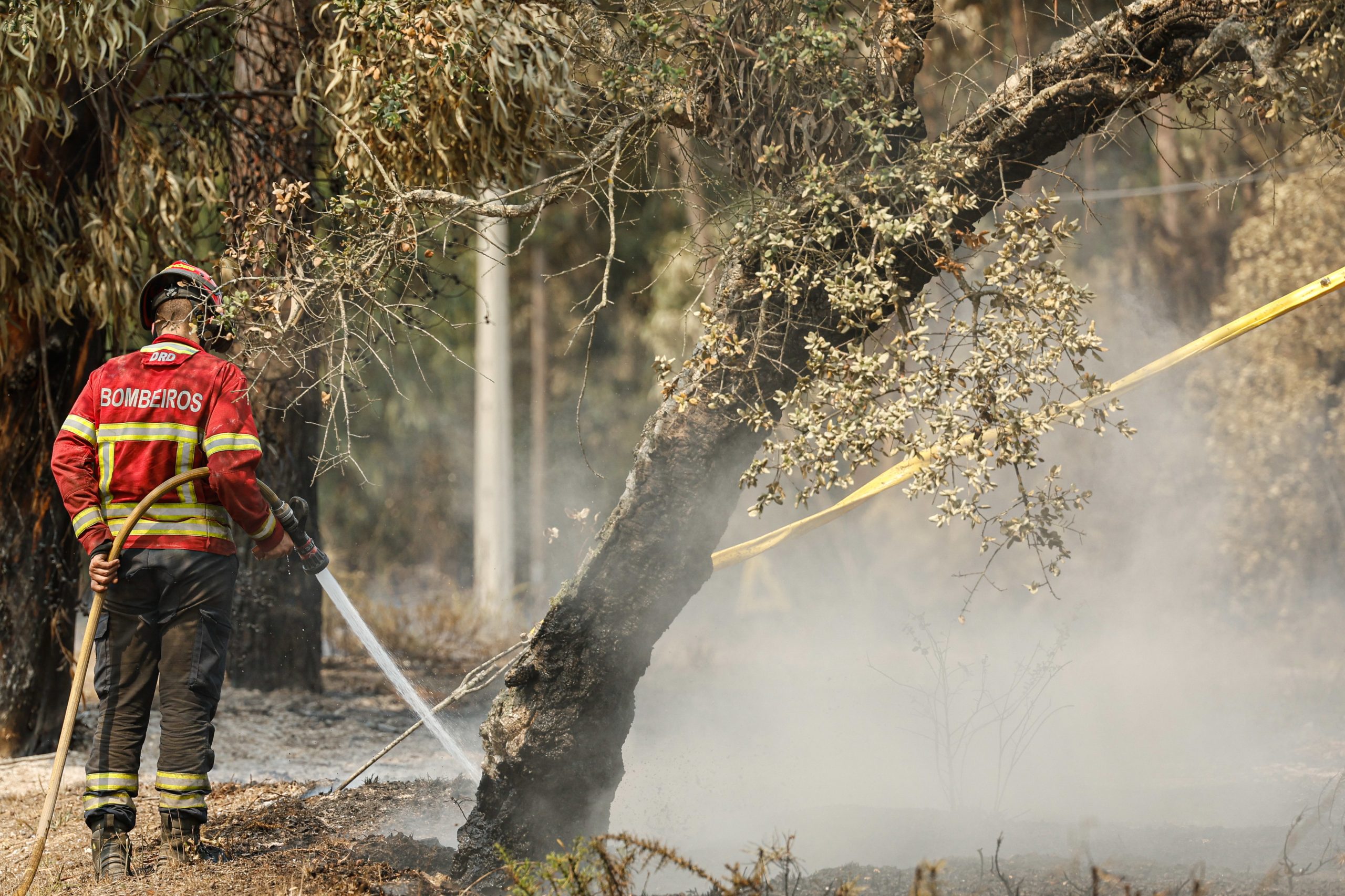 Incêndio em armazém agrícola e vacaria em Ponte da Barca em fase de rescaldo