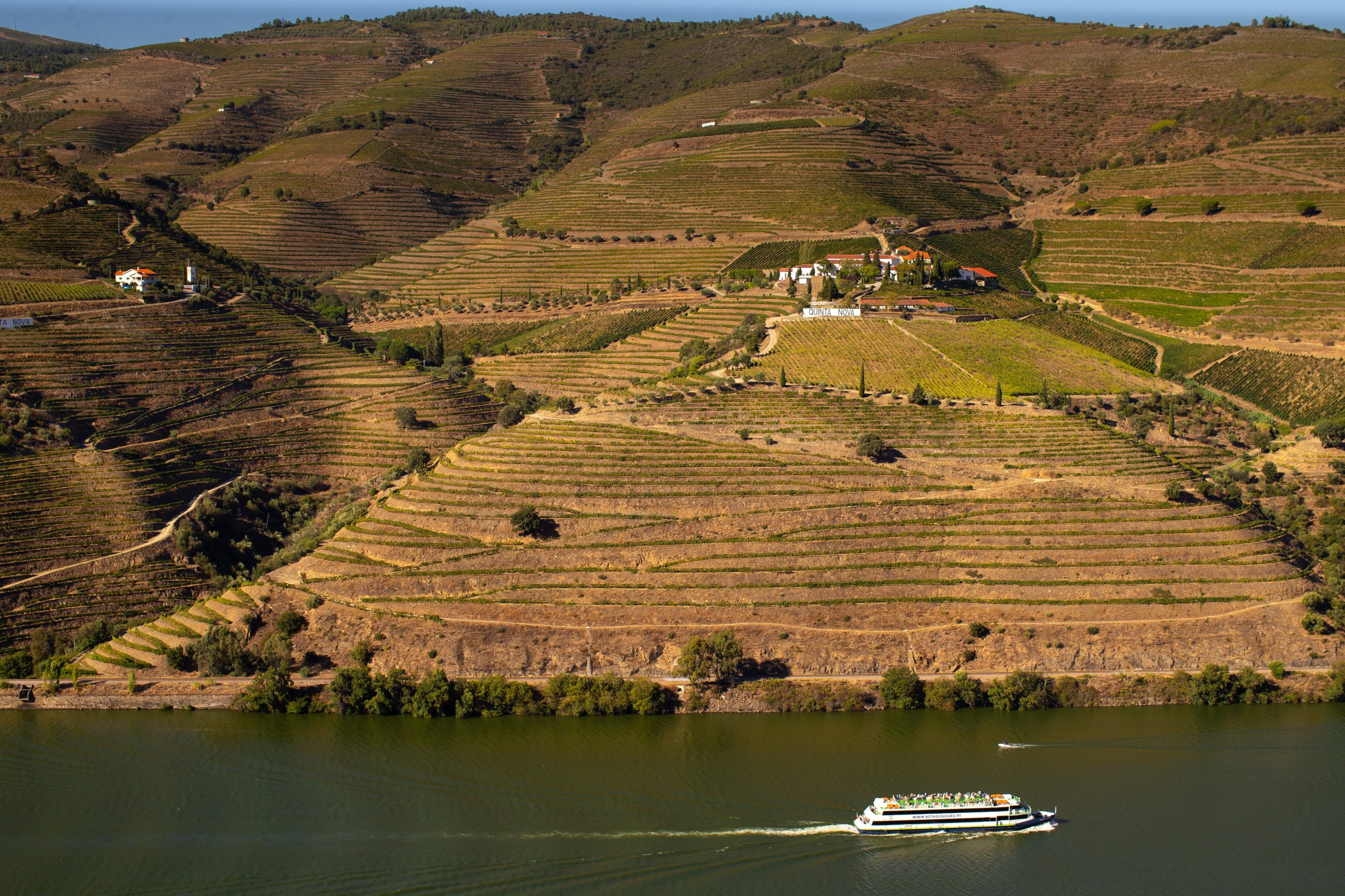 PCP quer ouvir ministro da Agricultura sobre fundos europeus e viticultores do Douro