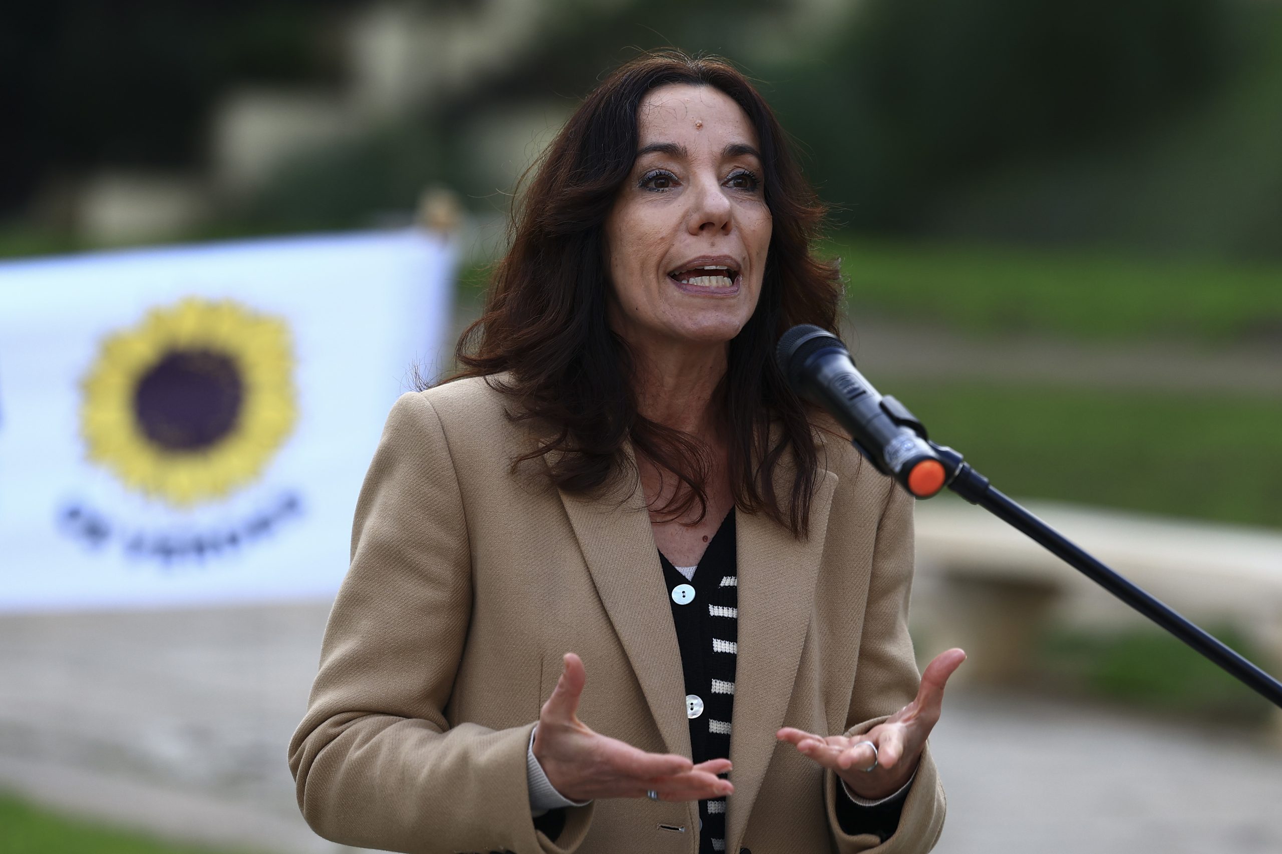 PEV promete “não baixar os braços” e continuar ação apesar de não ter elegido deputados