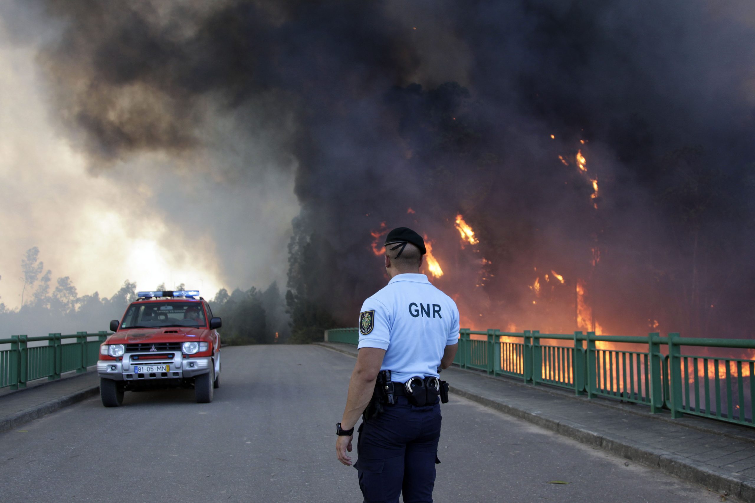 Incêndio na zona da Mealhada obriga ao corte da A1 nos dois sentidos