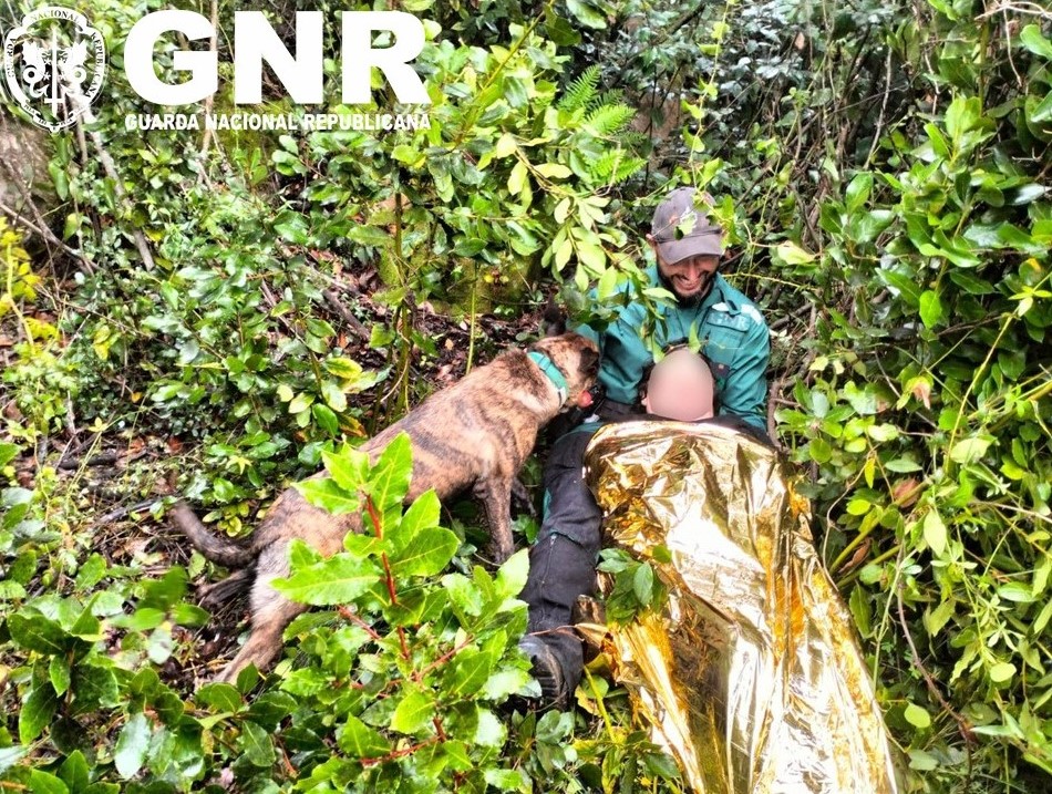 GNR encontrou com vida mulher que estava desaparecida em Arruda dos Vinhos