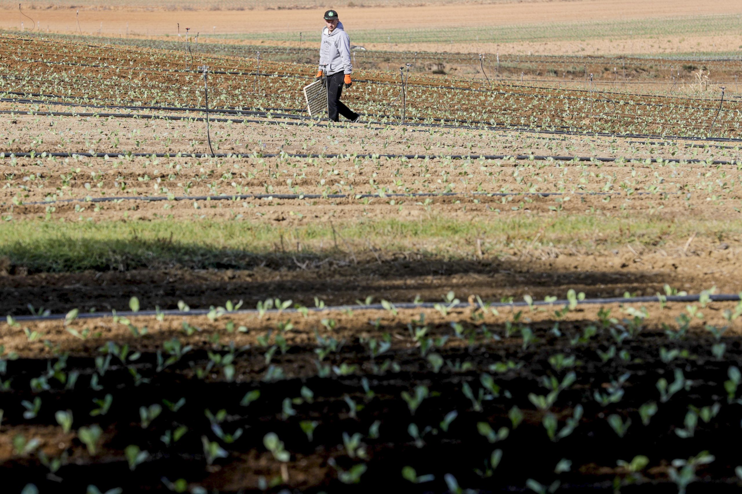 BE questiona Governo sobre medidas para ajudar agricultores afetados pelo mau tempo