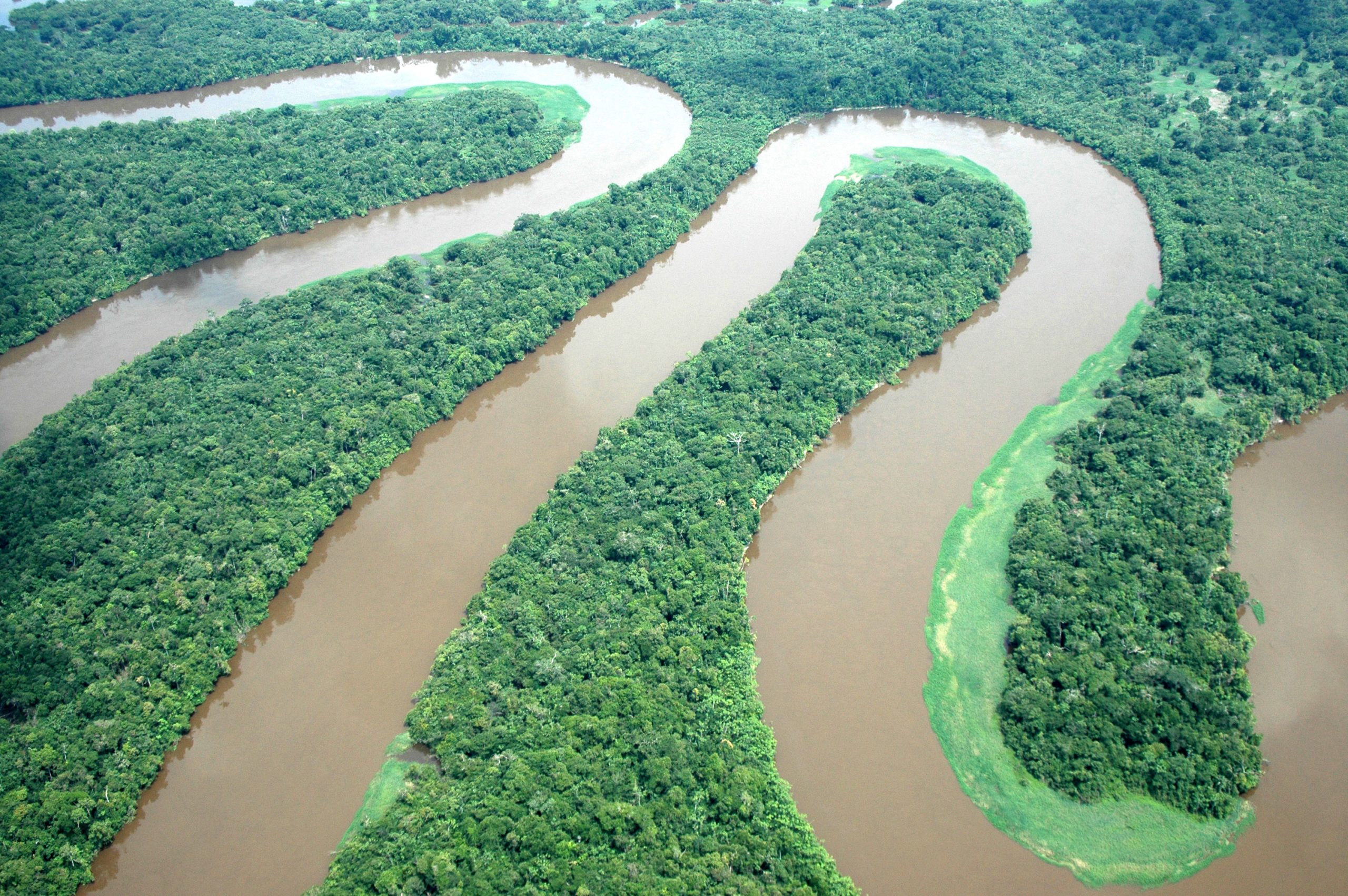 Investigadores criam bioestimulantes para que plantas resistam às alterações climáticas