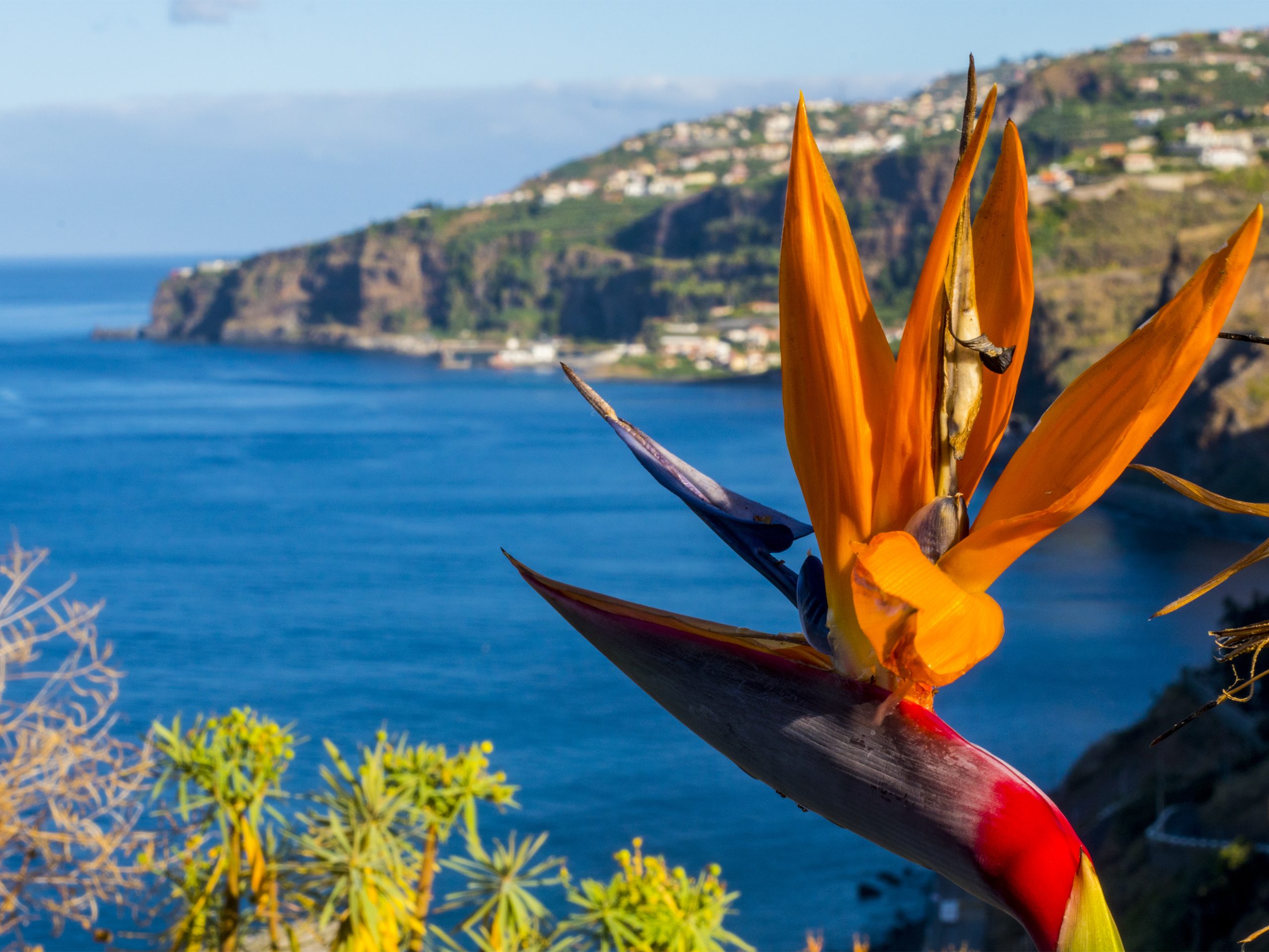 Madeira tem potencial para aproveitar fundos da economia azul