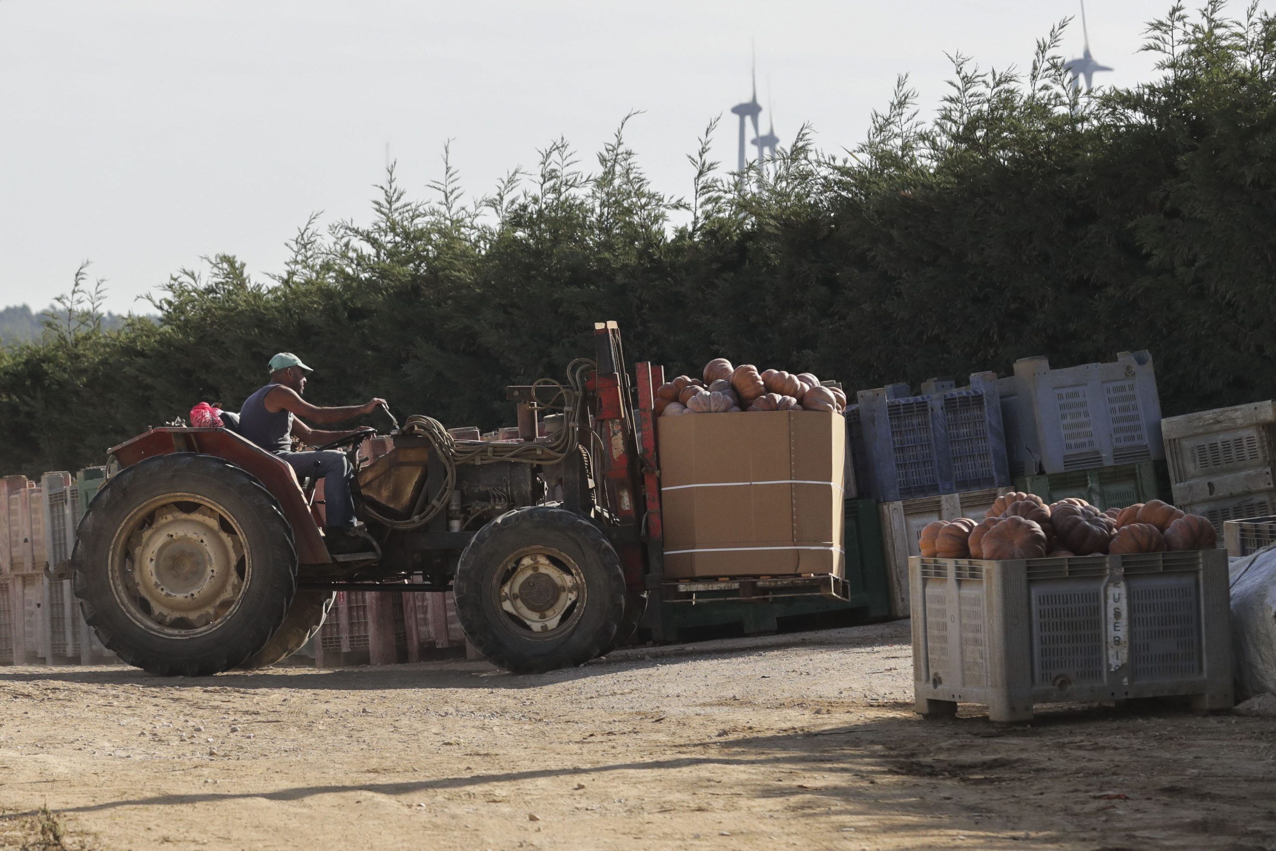 Agricultores vão receber apoio excecional de 60 milhões de euros no próximo ano