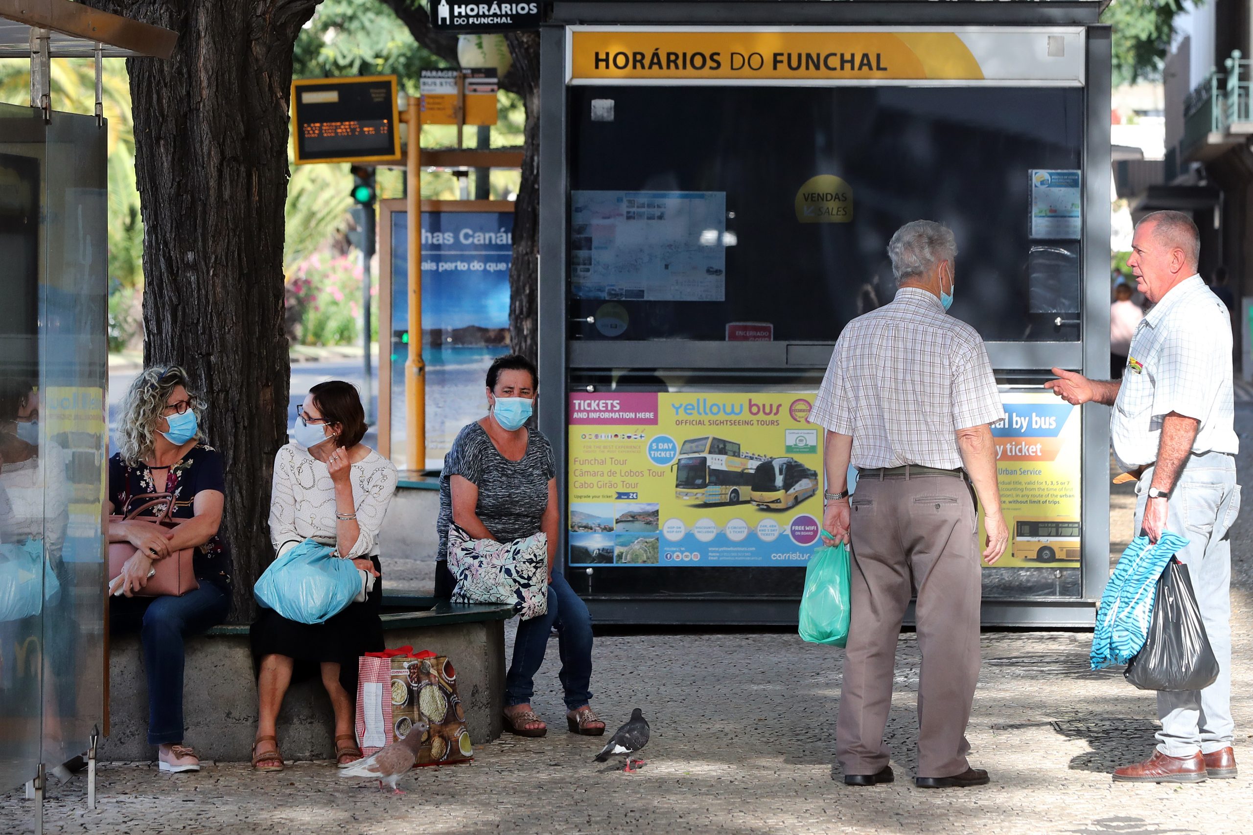 Eleições nos Açores: CDS-Madeira defende que solução encontrada vai ser “positiva” para ambas as regiões