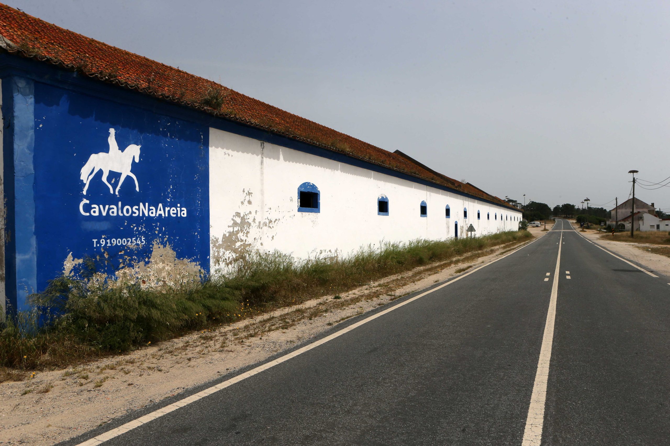 Associações apontam razões para travar venda da Herdade da Comporta