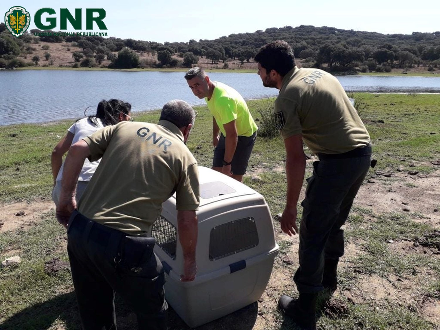 Militares da GNR resgatam lontra que estava presa num tanque de água em Arraiolos