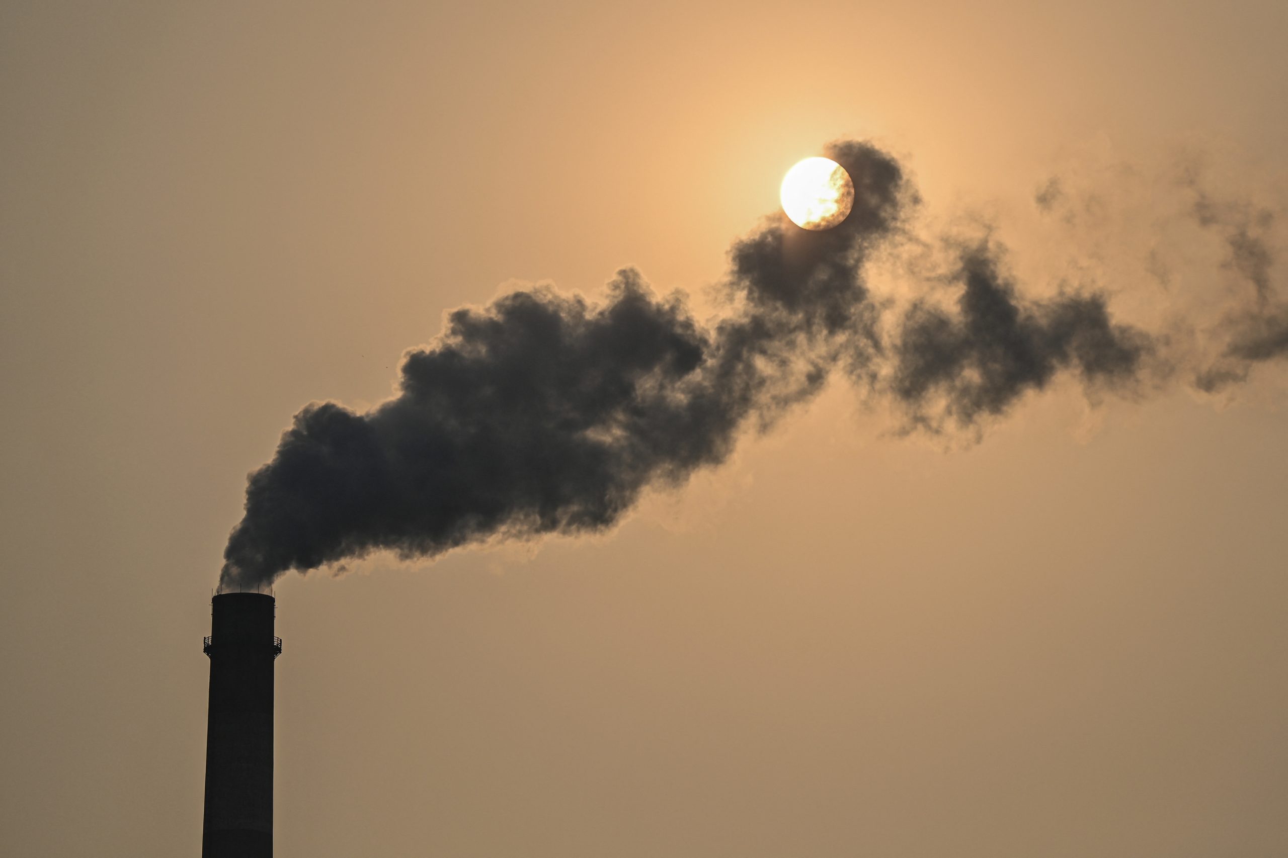 G20 e COP26: Os líderes saberão ser valentes?