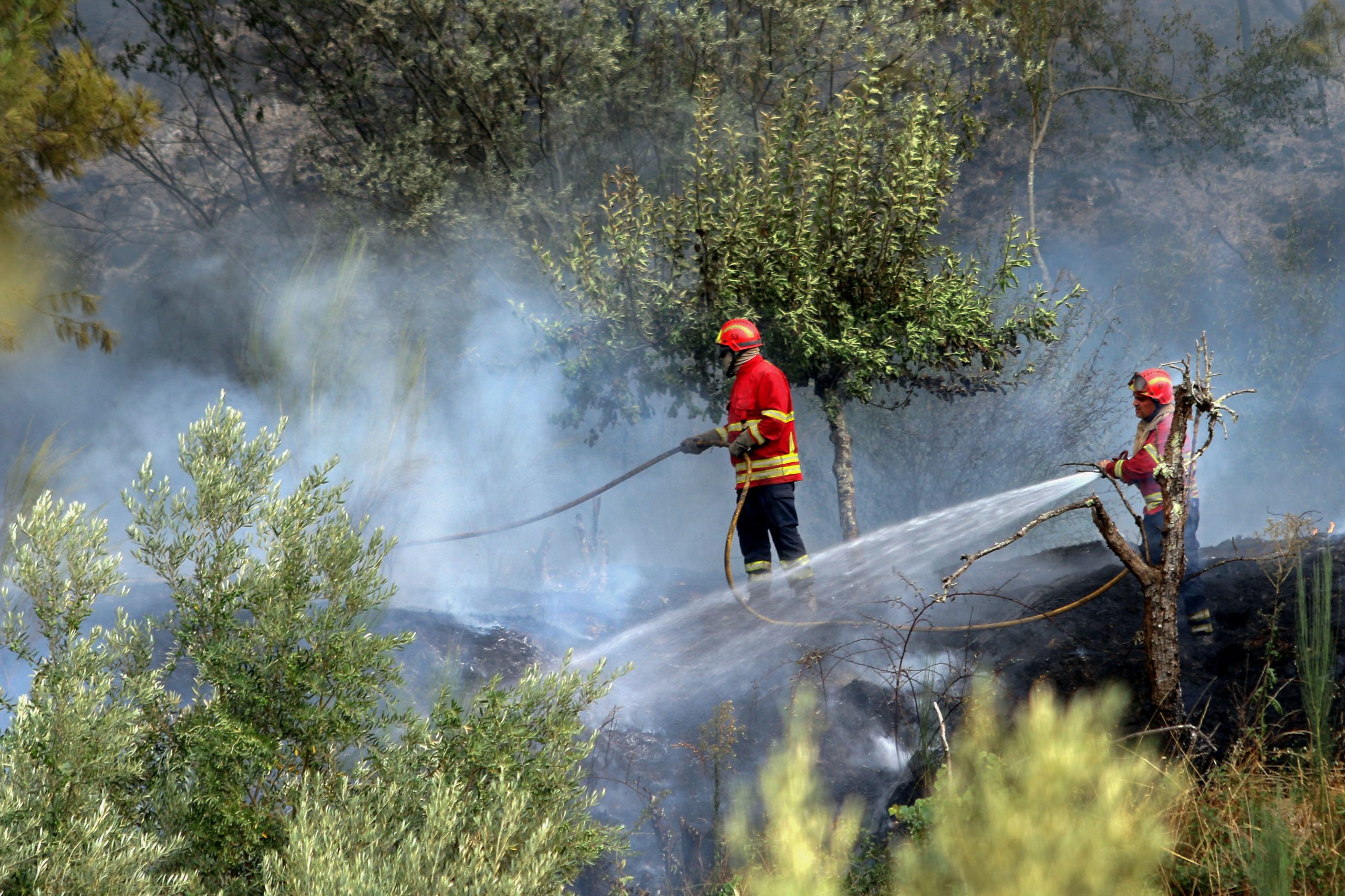 Incêndios: Câmara de Oleiros considera “muito positivas” medidas do Governo
