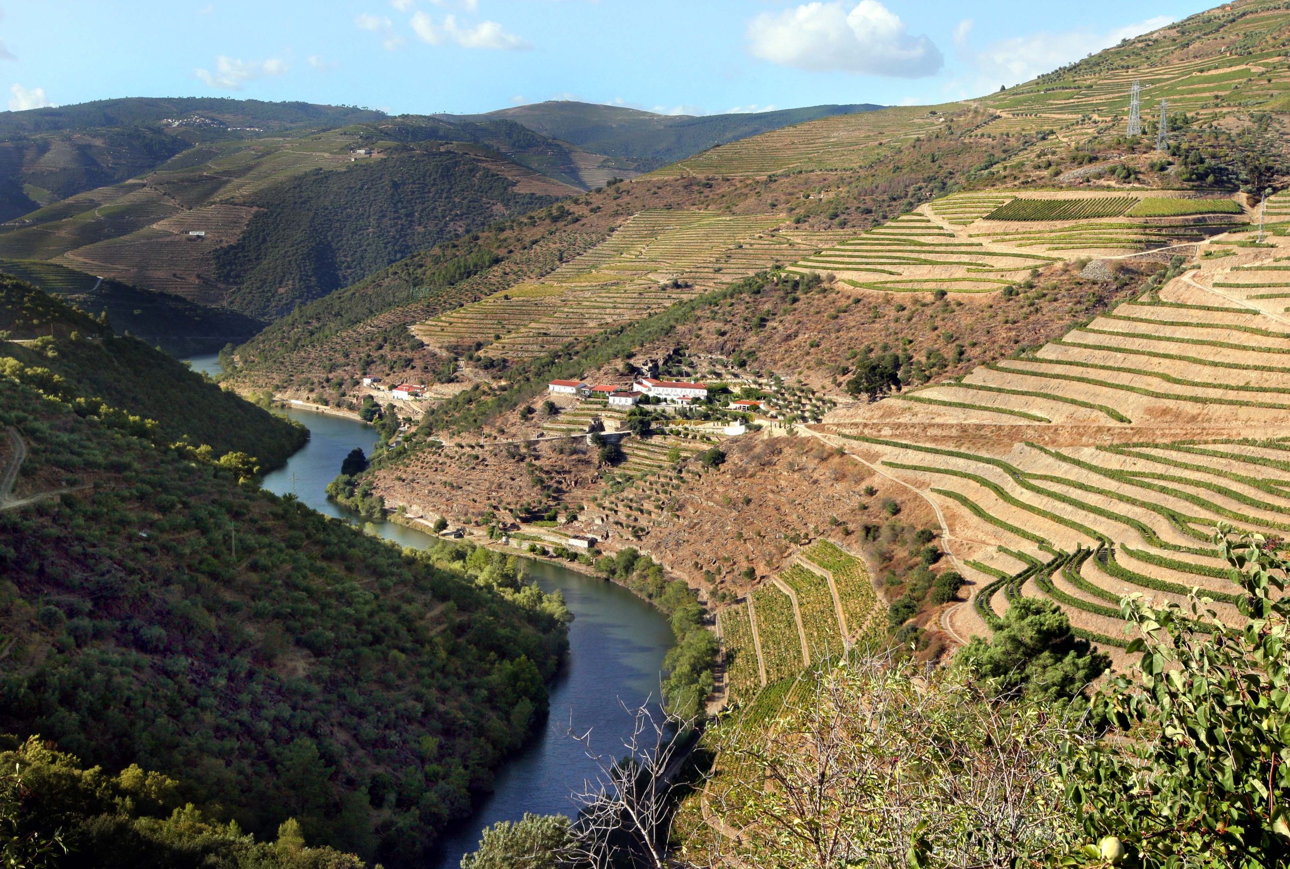 PCP reclama medidas imediatas para enfrentar situação excecional vivida no Douro